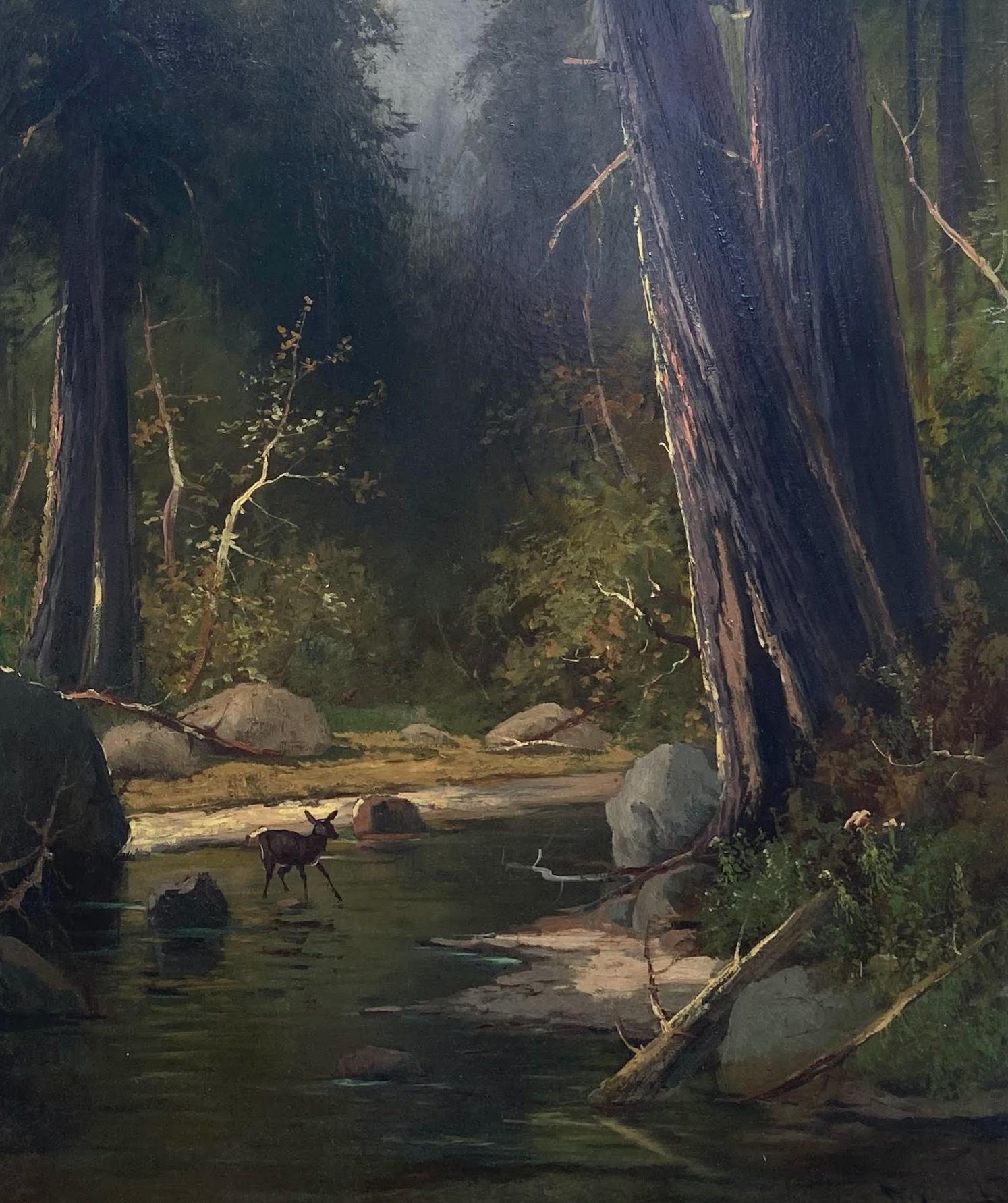 Questo superbo paesaggio californiano di grandi dimensioni è stato dipinto da un artista famoso per le sue scene della California e del Pacifico nord-occidentale e noto tra i collezionisti di queste opere. Frederick Schafer (biografia in basso)