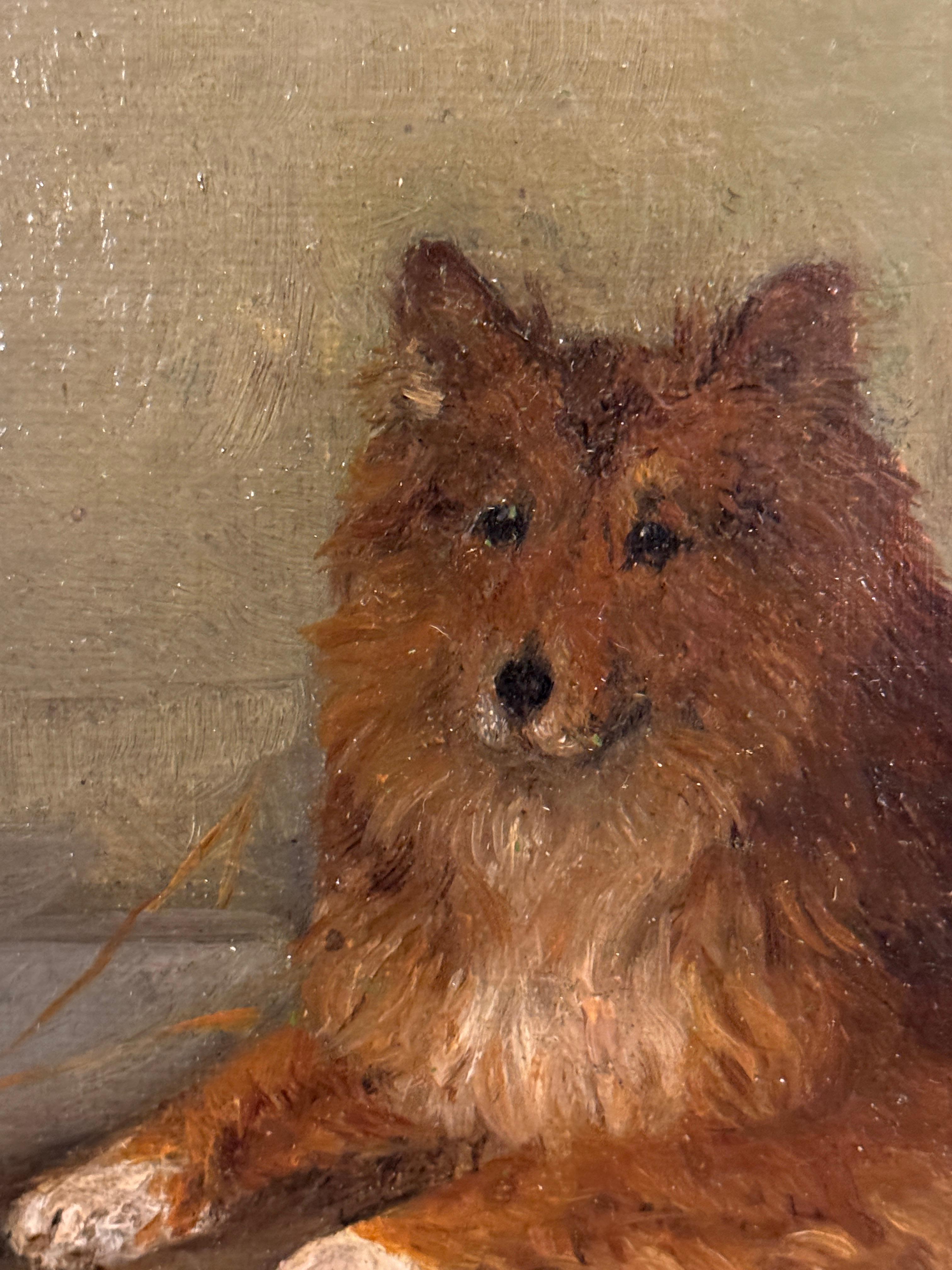 19th century English portrait of a Collie Dog seated in an Interior - Painting by Frederick French