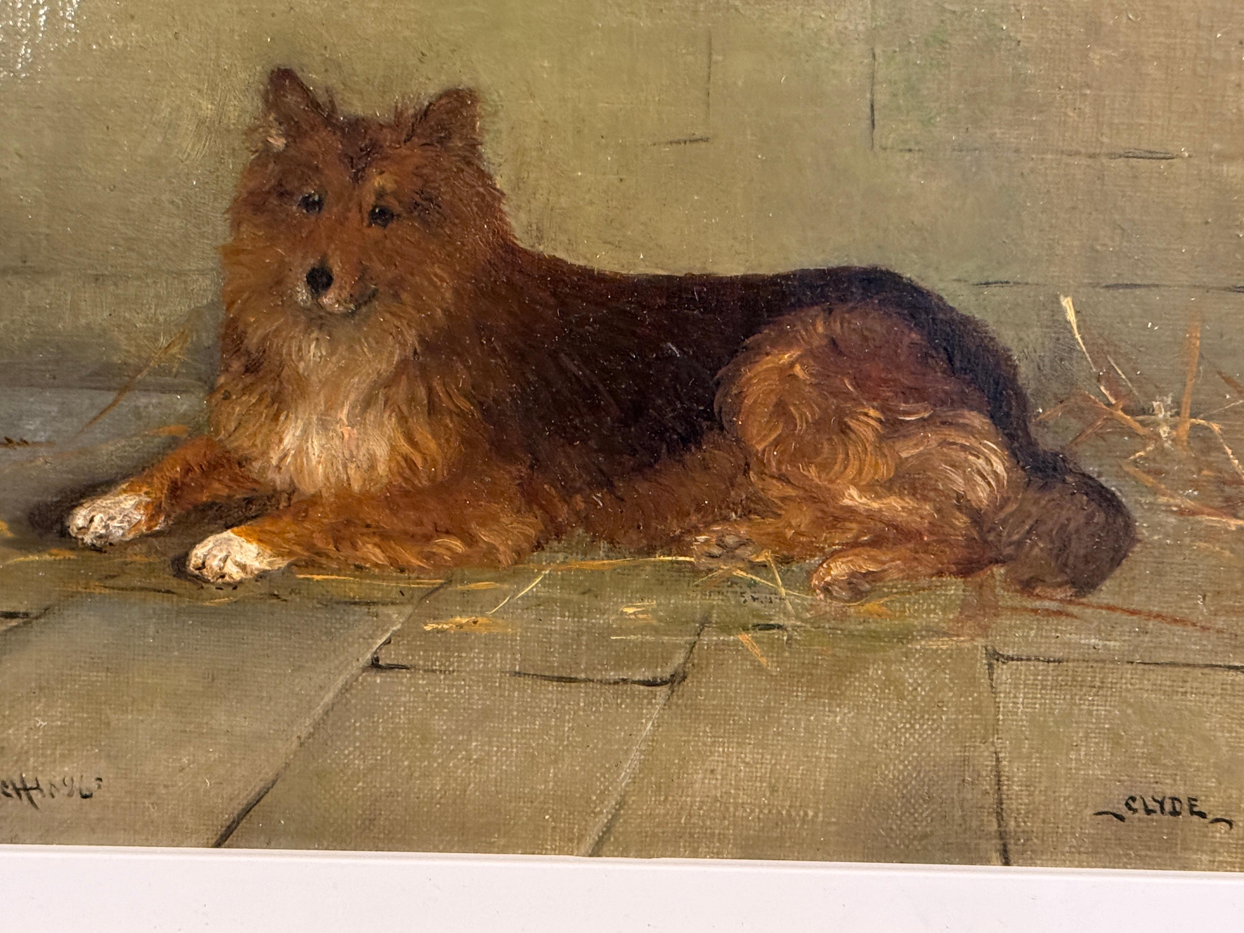 19th century English portrait of a Collie Dog seated in an Interior - Victorian Painting by Frederick French