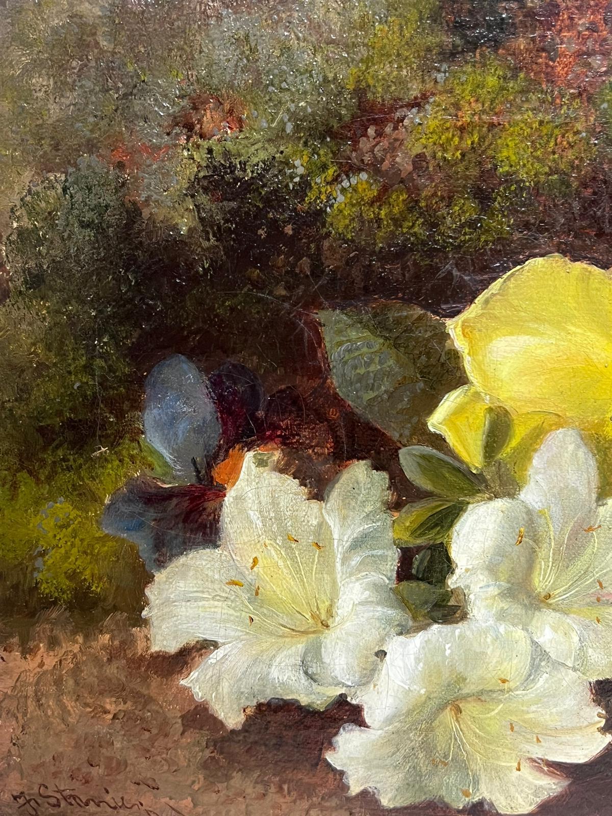 Charmantes viktorianisches englisches Stillleben, Ölgemälde mit Blumen in natürlicher Fassung (Braun), Interior Painting, von Frederick J Stanier