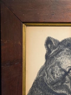 Frederick Stuart Church Rare Original Drawing Of A Bear Circa 1890s