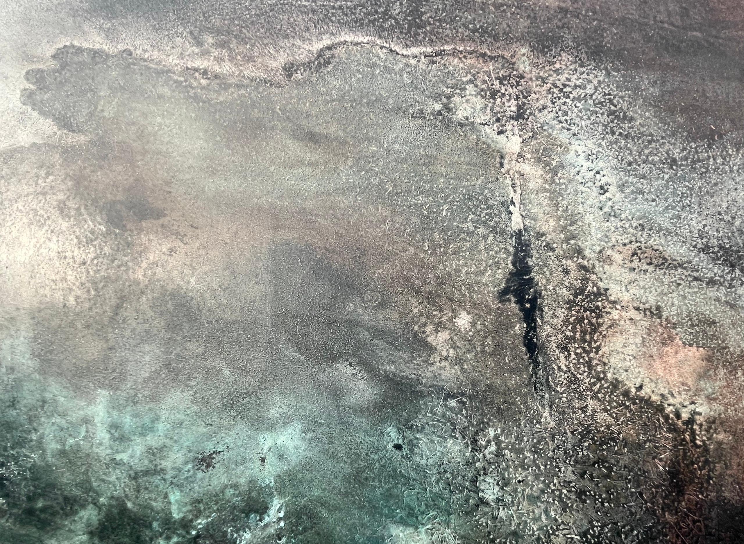 Bronze Sepals by Frédérique Domergue - Contemporary abstract painting, sea, sky im Angebot 5