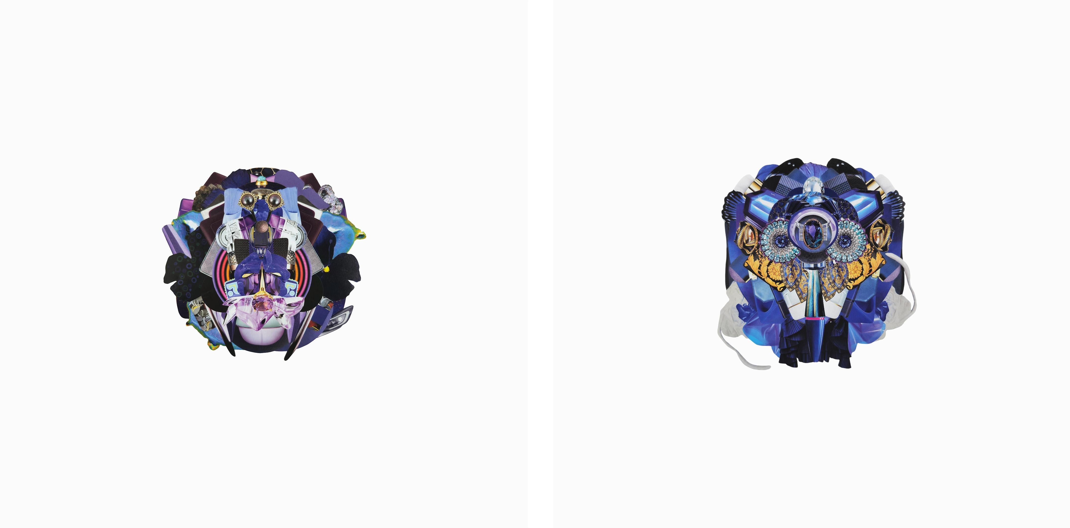 Xenestela 10 and 9, Diptych. From The Series Xenestela