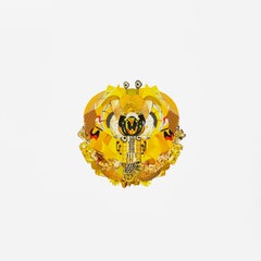 Xenestela 11 et 5, Diptyque. Tiré de la série Xenestela