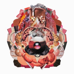 Xenestela 14. Dalla serie Xenestela