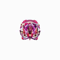 Xenestela 15. Dalla serie Xenestela