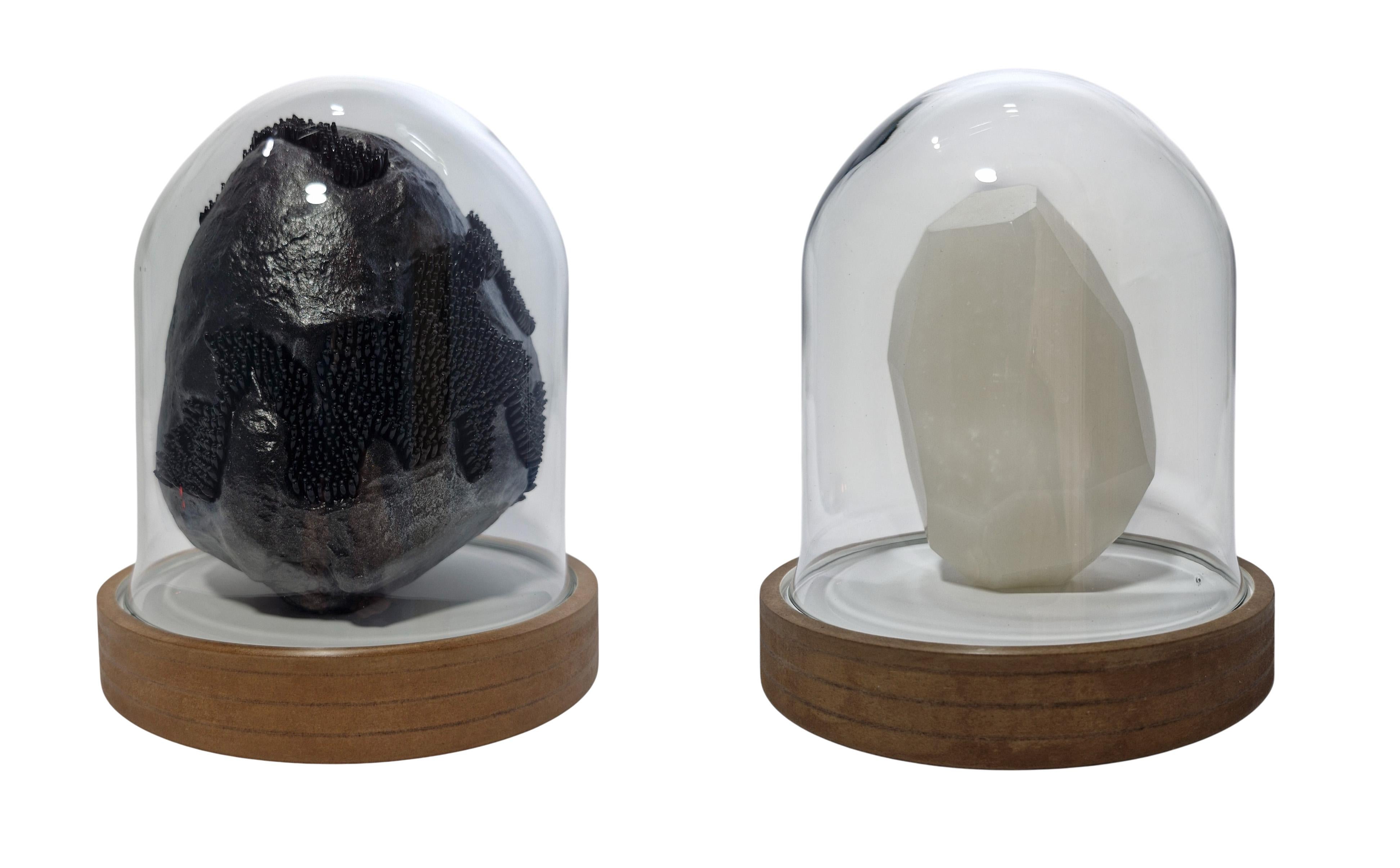 The artwork is a three-state model of an inorganic body, beginning with a black, alien-like rock formation, which gradually unfolds as it evolves, revealing its contents as a whitish crystal with unknown properties.

Serrano
s artistic work centers