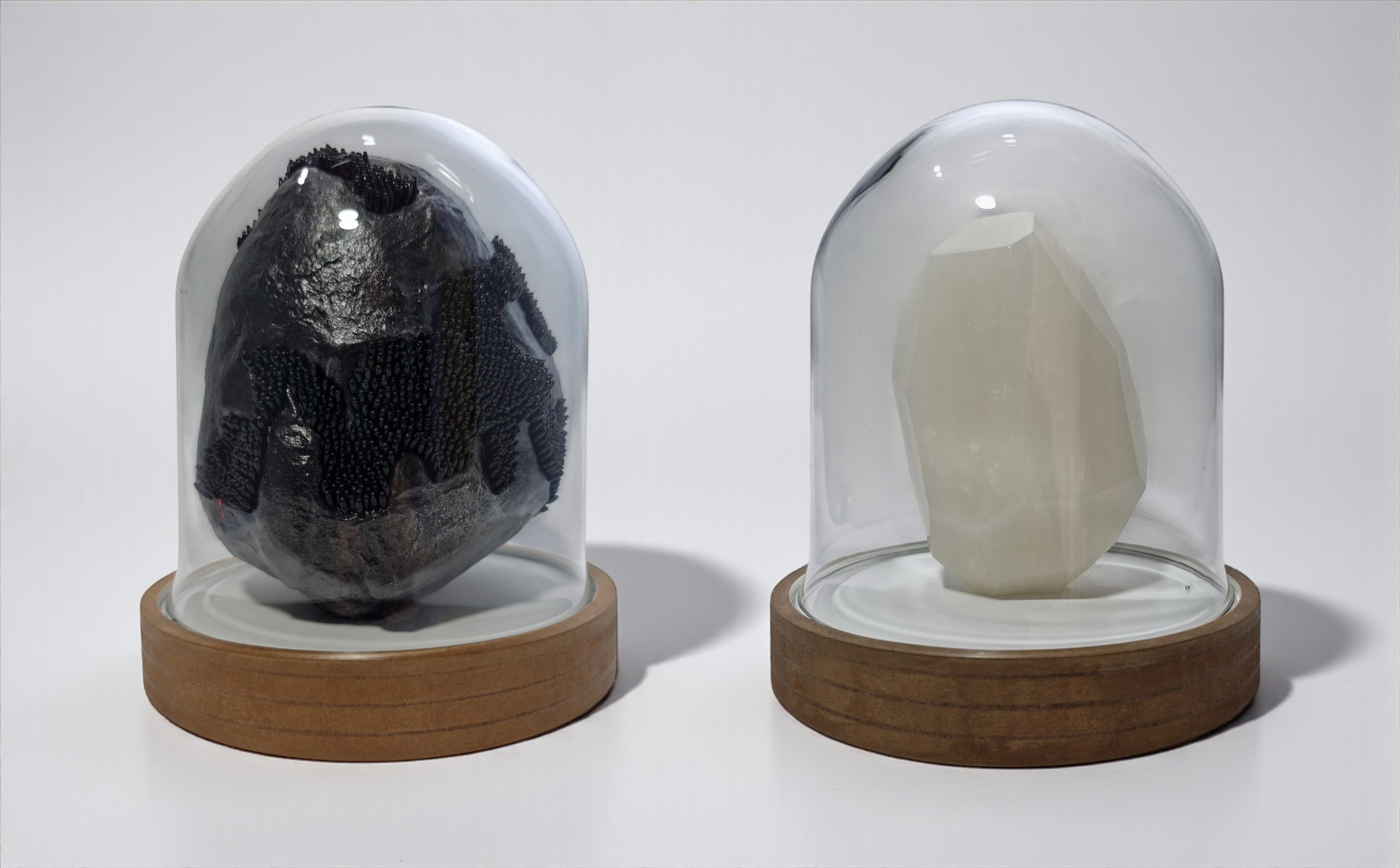 The artwork is a three-state model of an inorganic body, beginning with a black, alien-like rock formation, which gradually unfolds as it evolves, revealing its contents as a whitish crystal with unknown properties.

Serrano's artistic work centers