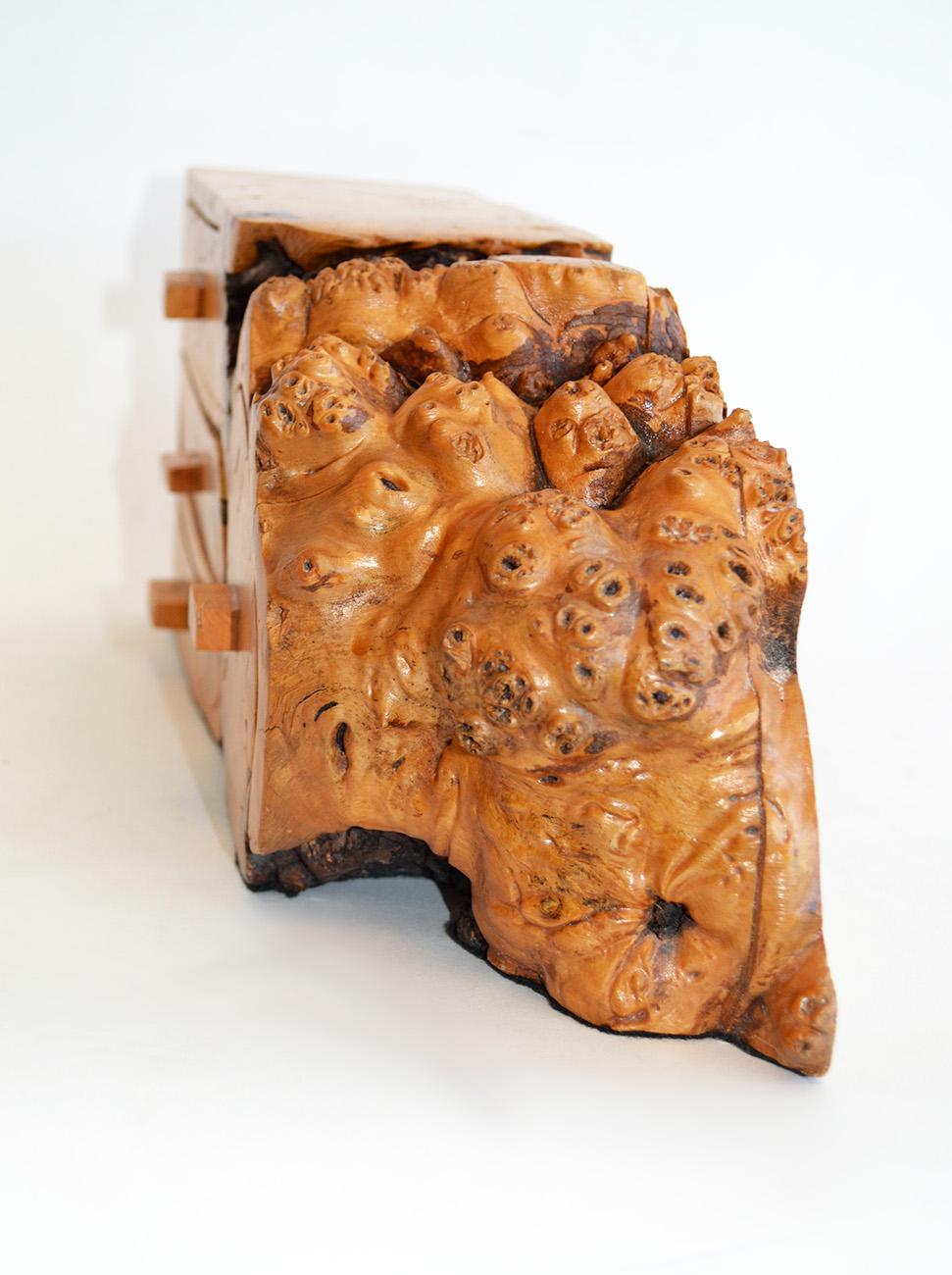 American Free Edge Burl Wood Jewelry Box Manner of Michael Elkans 1970's, USA For Sale