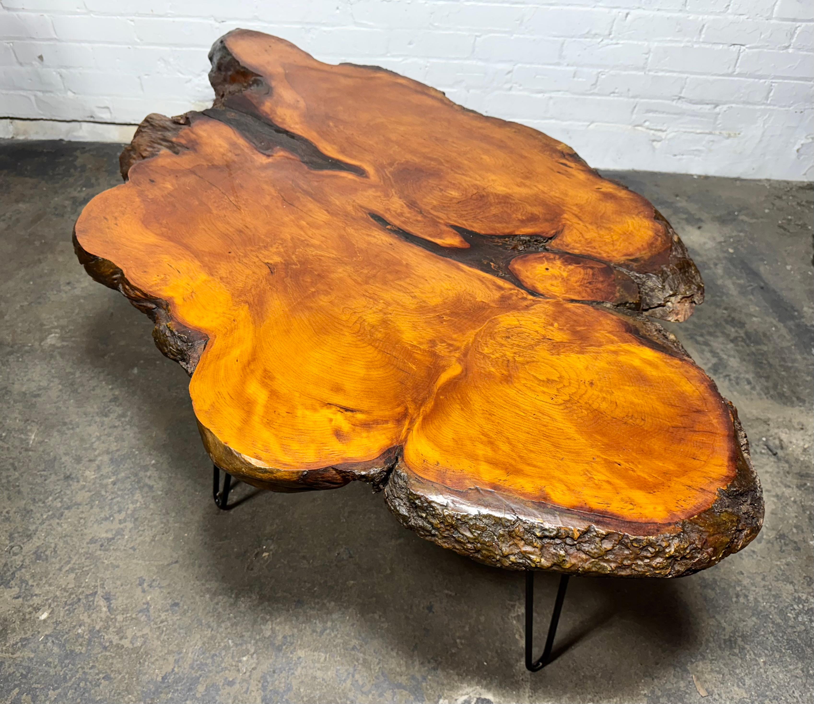 A beautiful free edge cyprus slab coffee table with iron hair-pin legs inspired by Nakashima .Great size, finish , patina, Hand delivery avail to New York City or anywhere en route from Buffalo NY