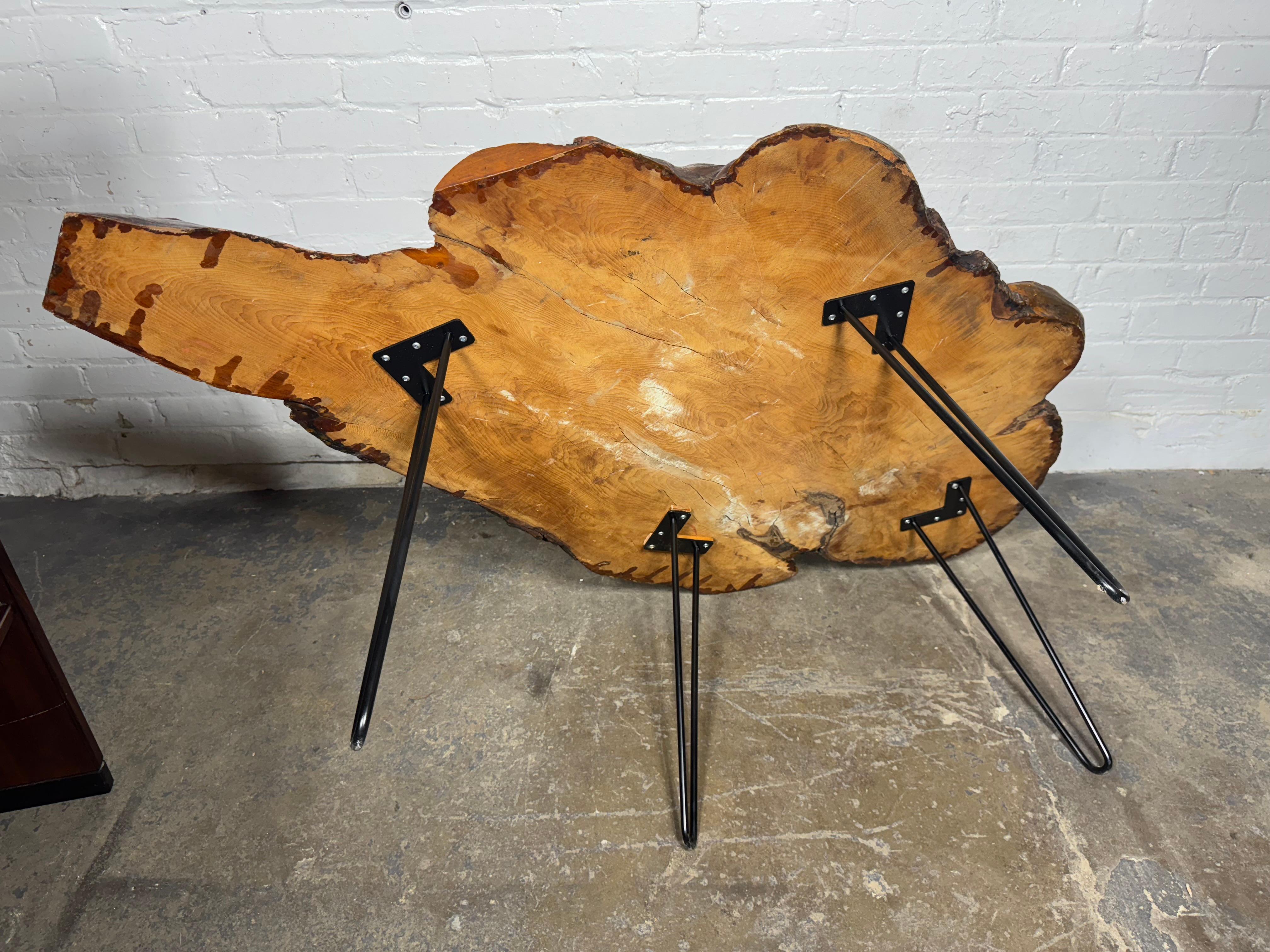 Mid-Century Modern Free edge cyprus slab table with iron legs , Classic Modernist Design For Sale
