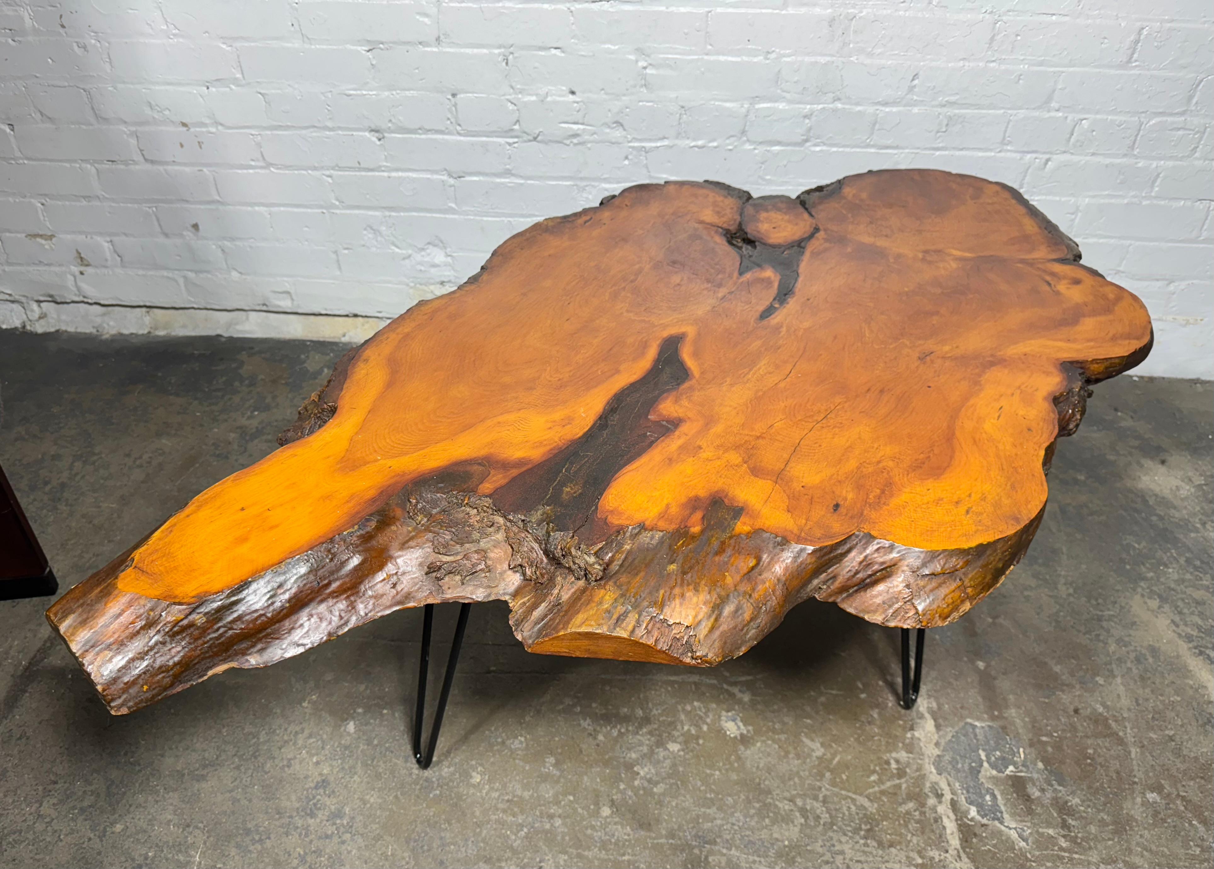 Free edge cyprus slab table with iron legs , Classic Modernist Design In Good Condition For Sale In Buffalo, NY