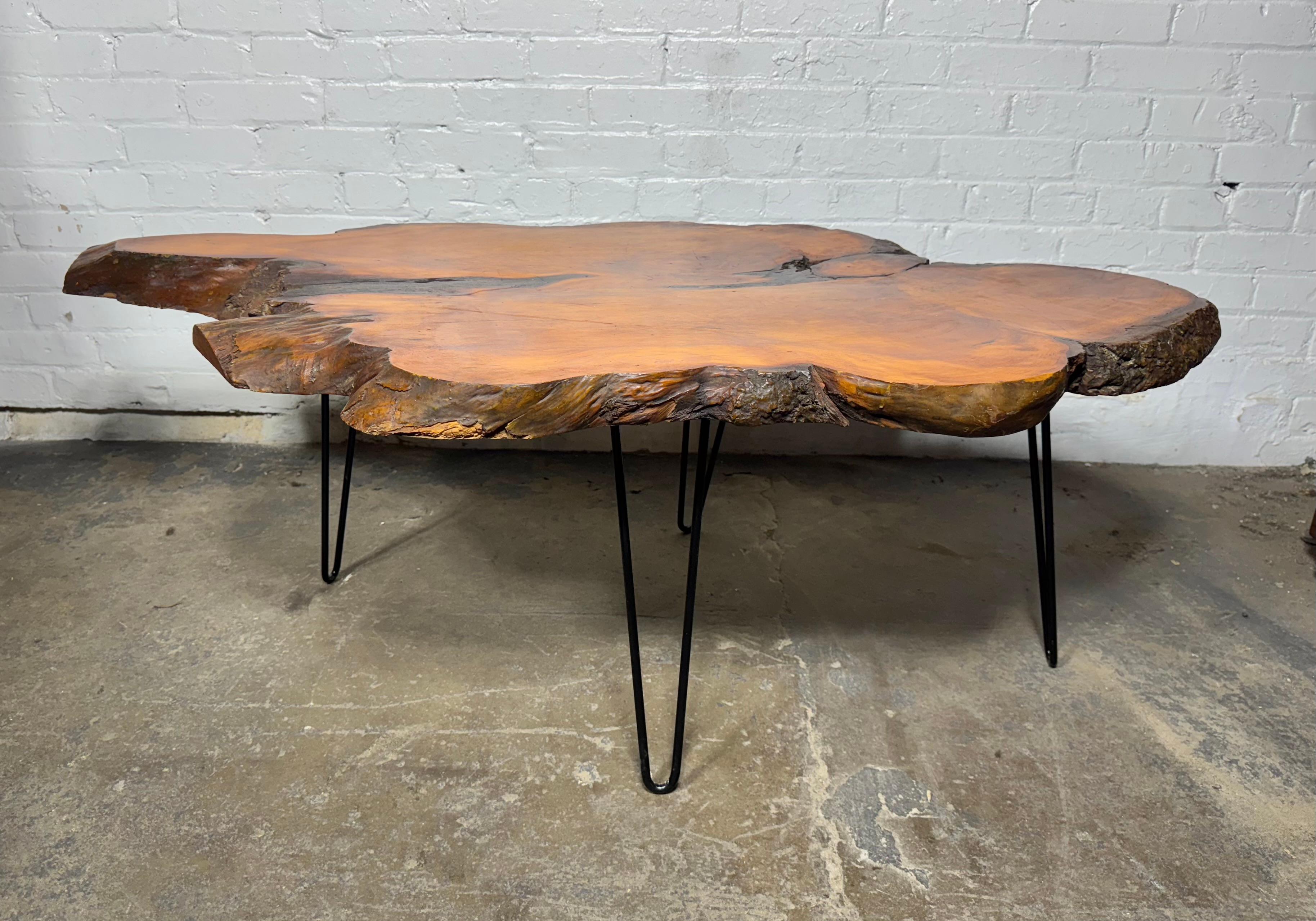 Free edge cyprus slab table with iron legs , Classic Modernist Design For Sale 2