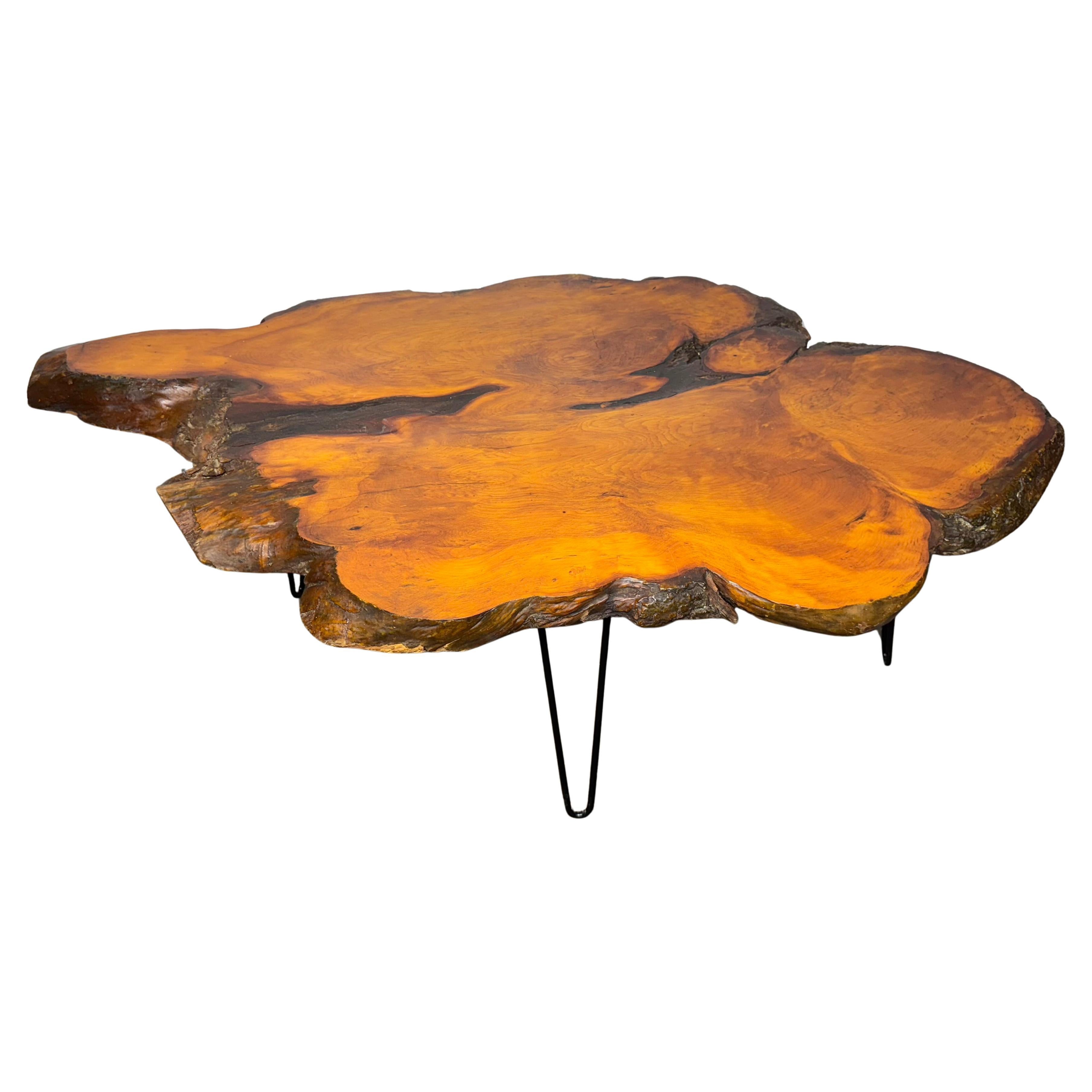 Free edge cyprus slab table with iron legs , Classic Modernist Design For Sale