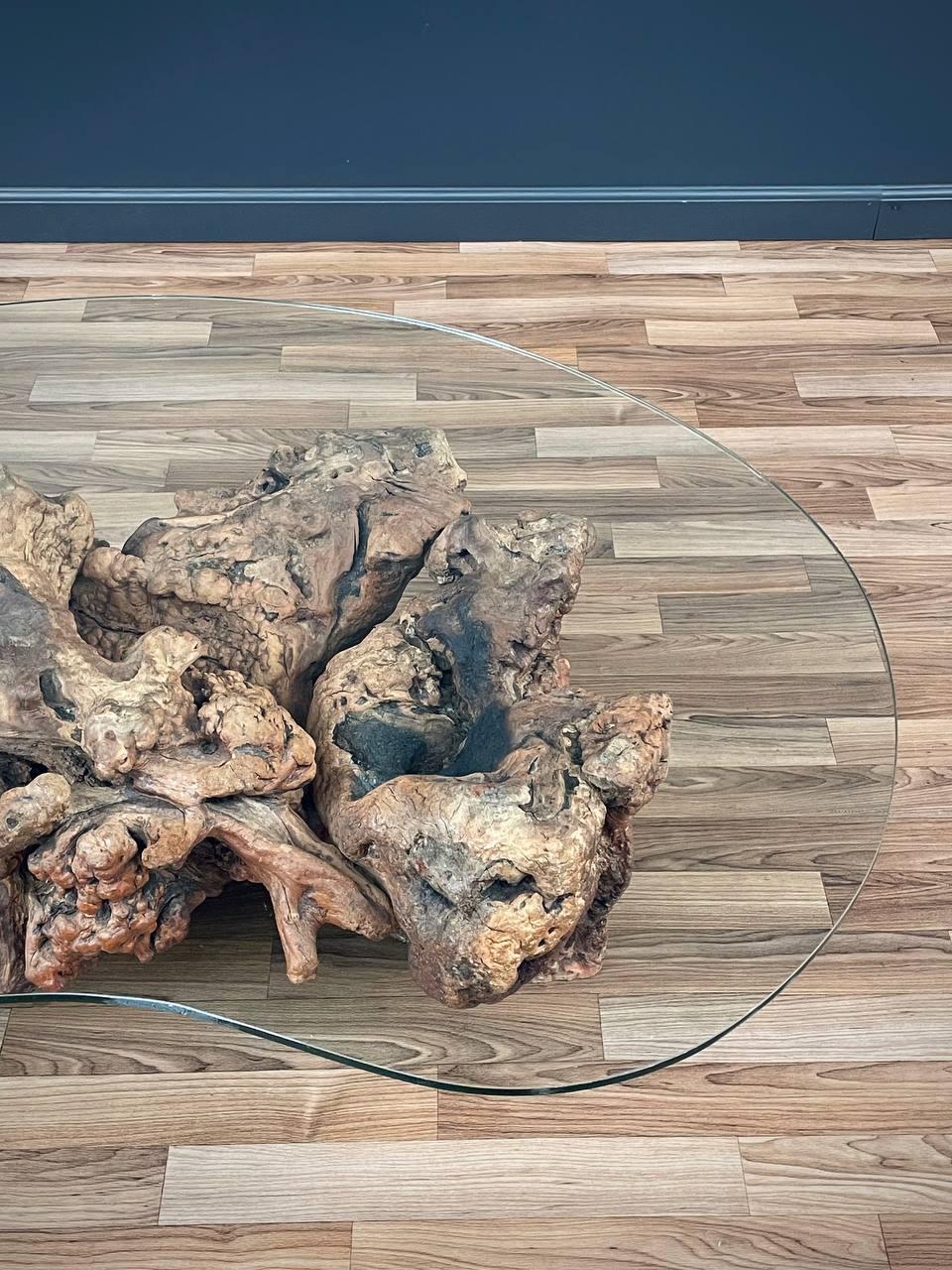 Mid-Century Modern Free Form Drift Wood Coffee Table with Glass Top For Sale
