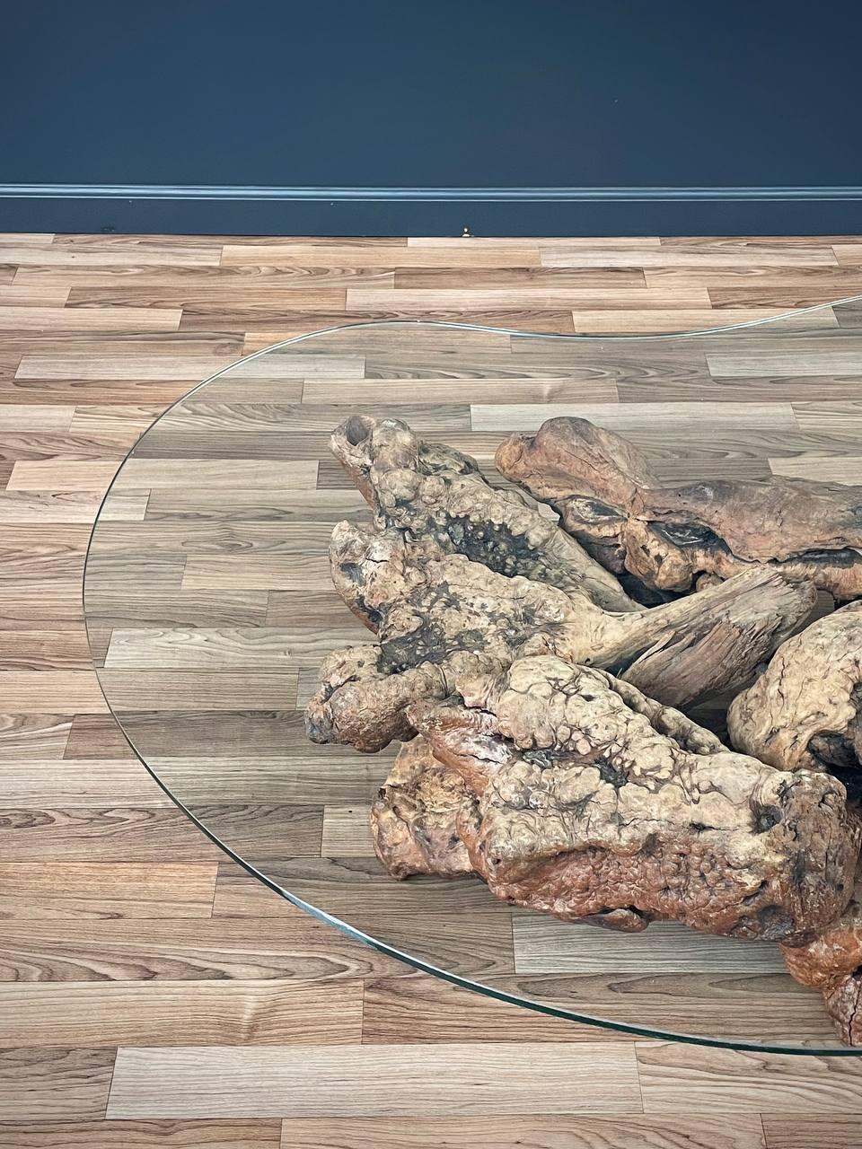 American Free Form Drift Wood Coffee Table with Glass Top For Sale