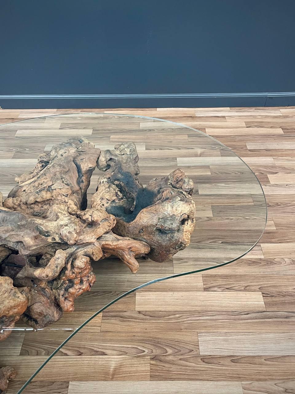 Free Form Drift Wood Coffee Table with Glass Top In Good Condition For Sale In Los Angeles, CA
