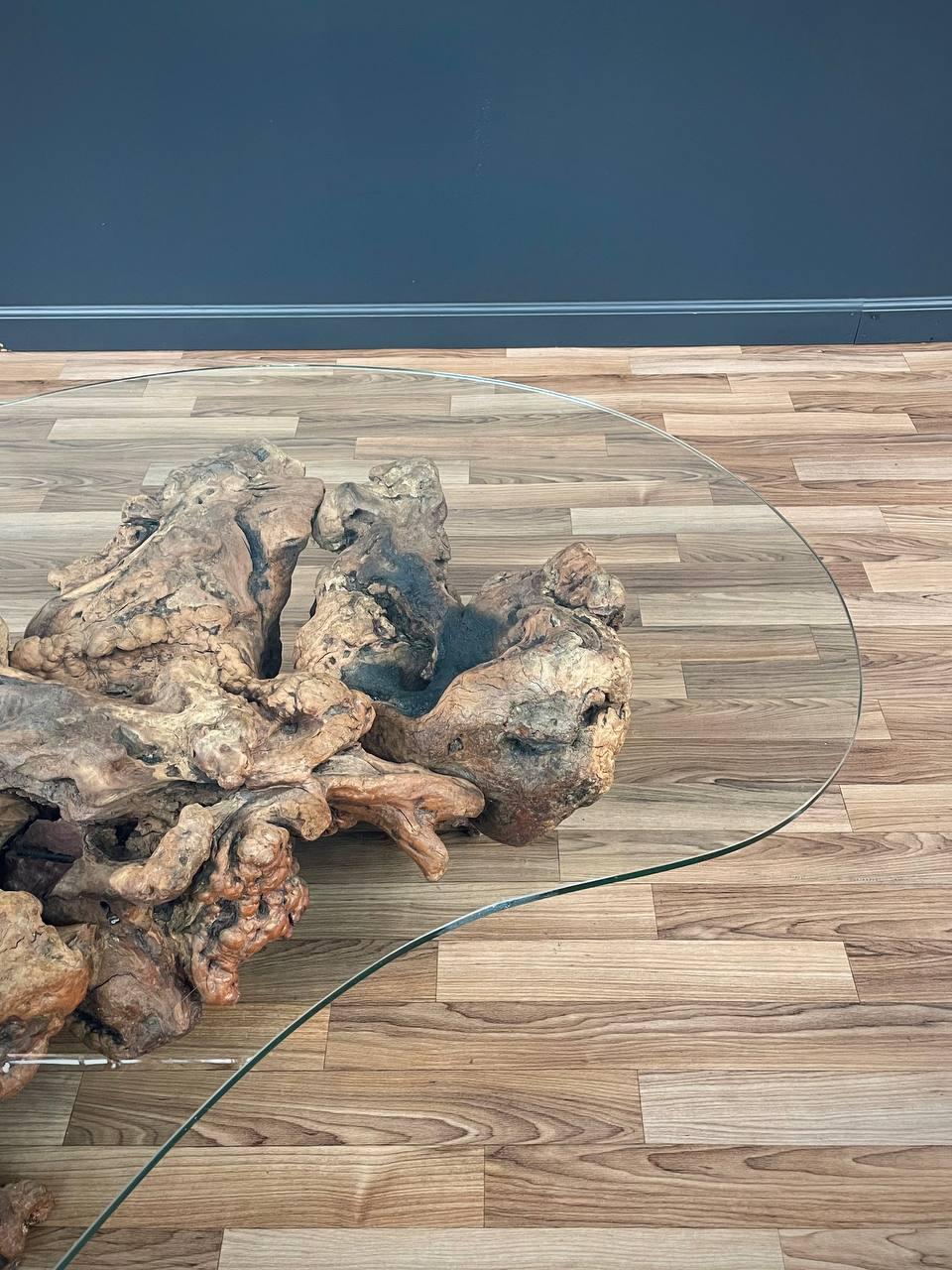 American Free Form Drift Wood Coffee Table with Glass Top