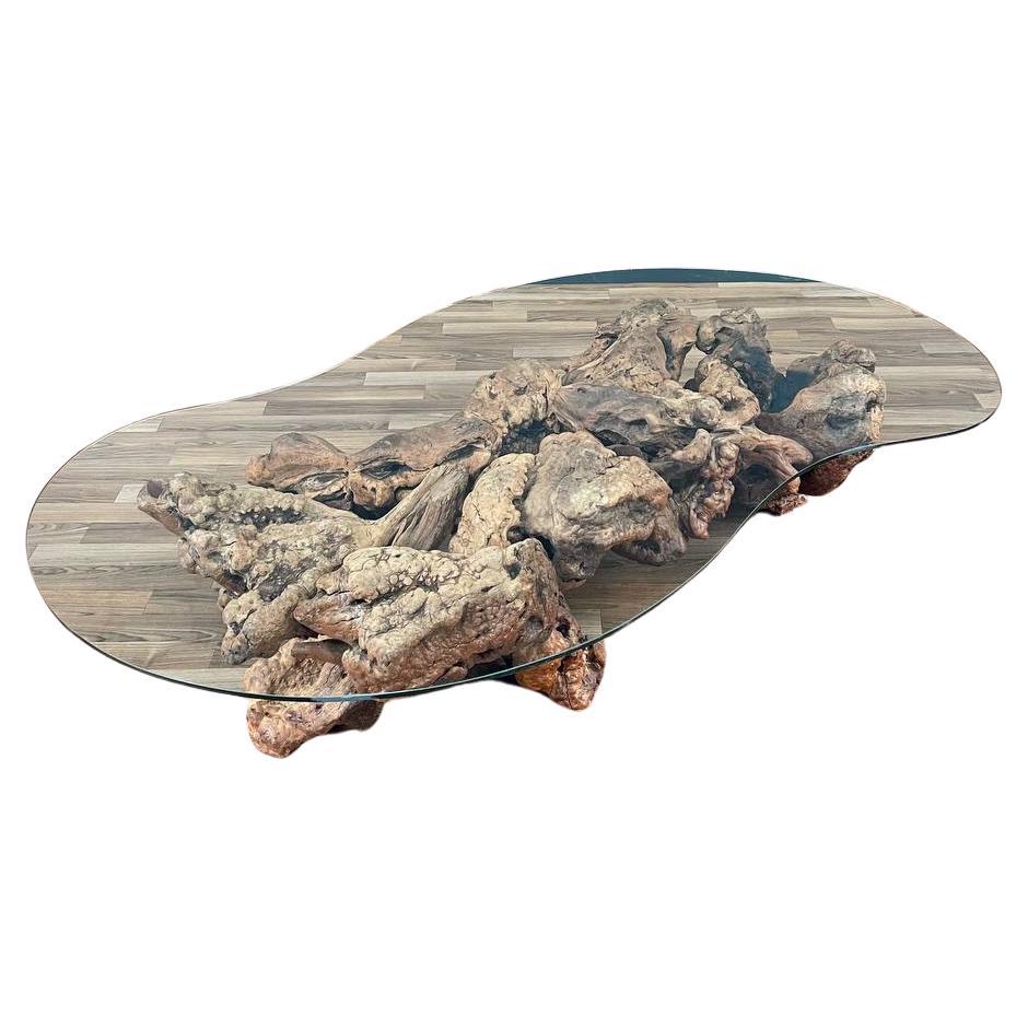 Free Form Drift Wood Coffee Table with Glass Top For Sale