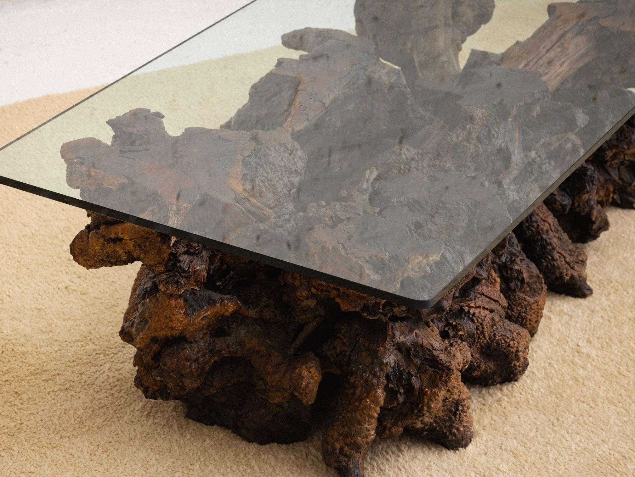 Free Form Live Edge Burl Coffee Table with Glass Top For Sale 4