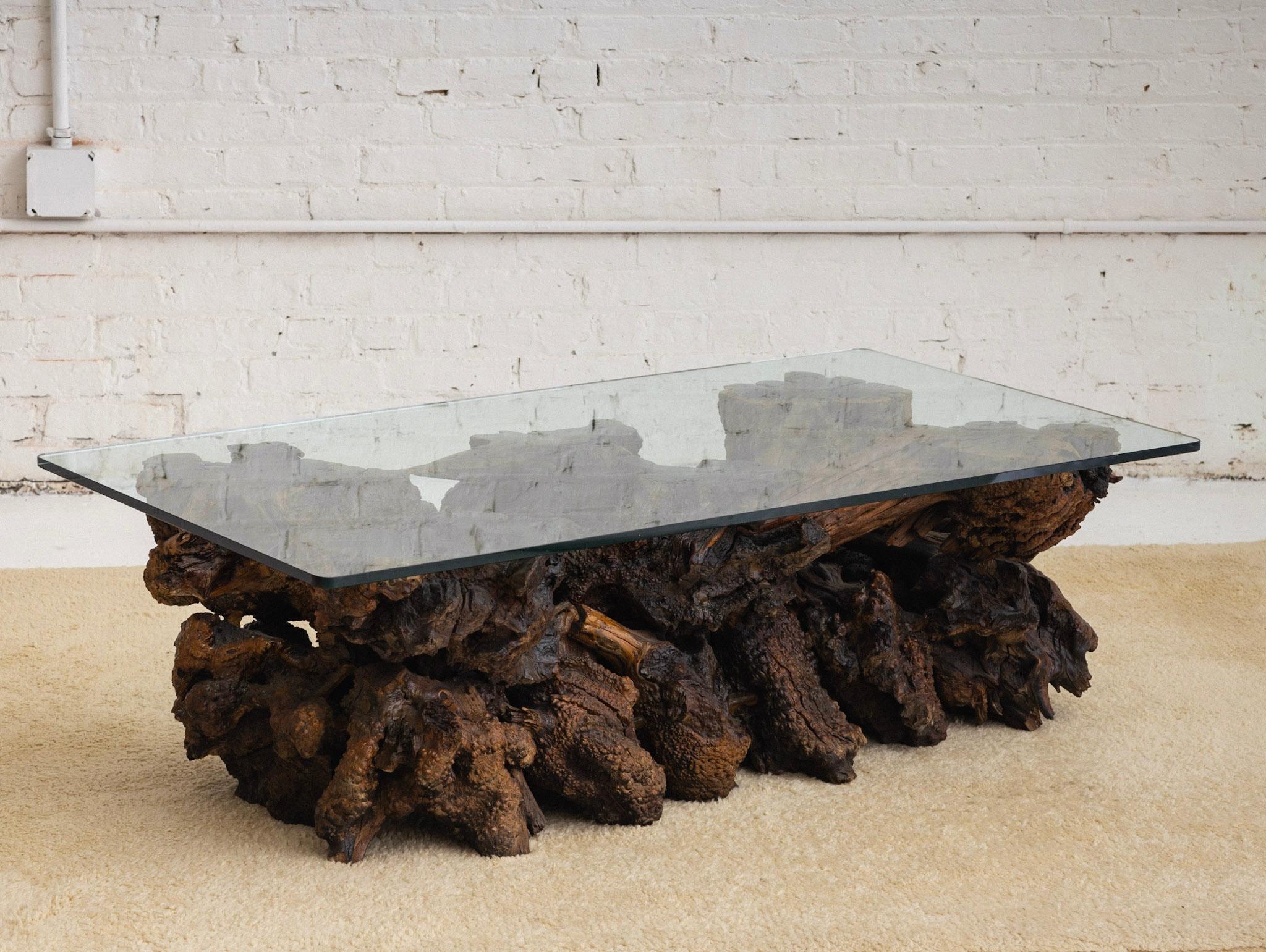 Live edge burl coffee table. Knotty wood forms are pieced together to create this brutalist style coffee table base. Lacquered and upper surface polished to show rich color and wood grain. Thick rectangular glass with rounded corners rests on top.