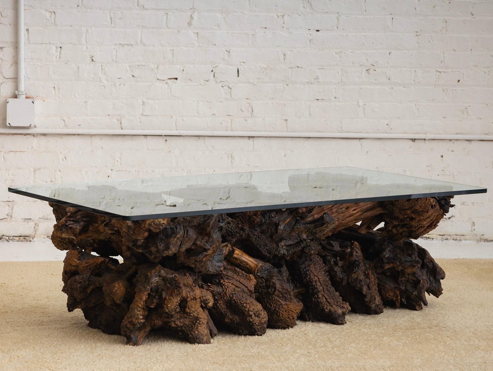 Brutalist Free Form Live Edge Burl Coffee Table with Glass Top For Sale