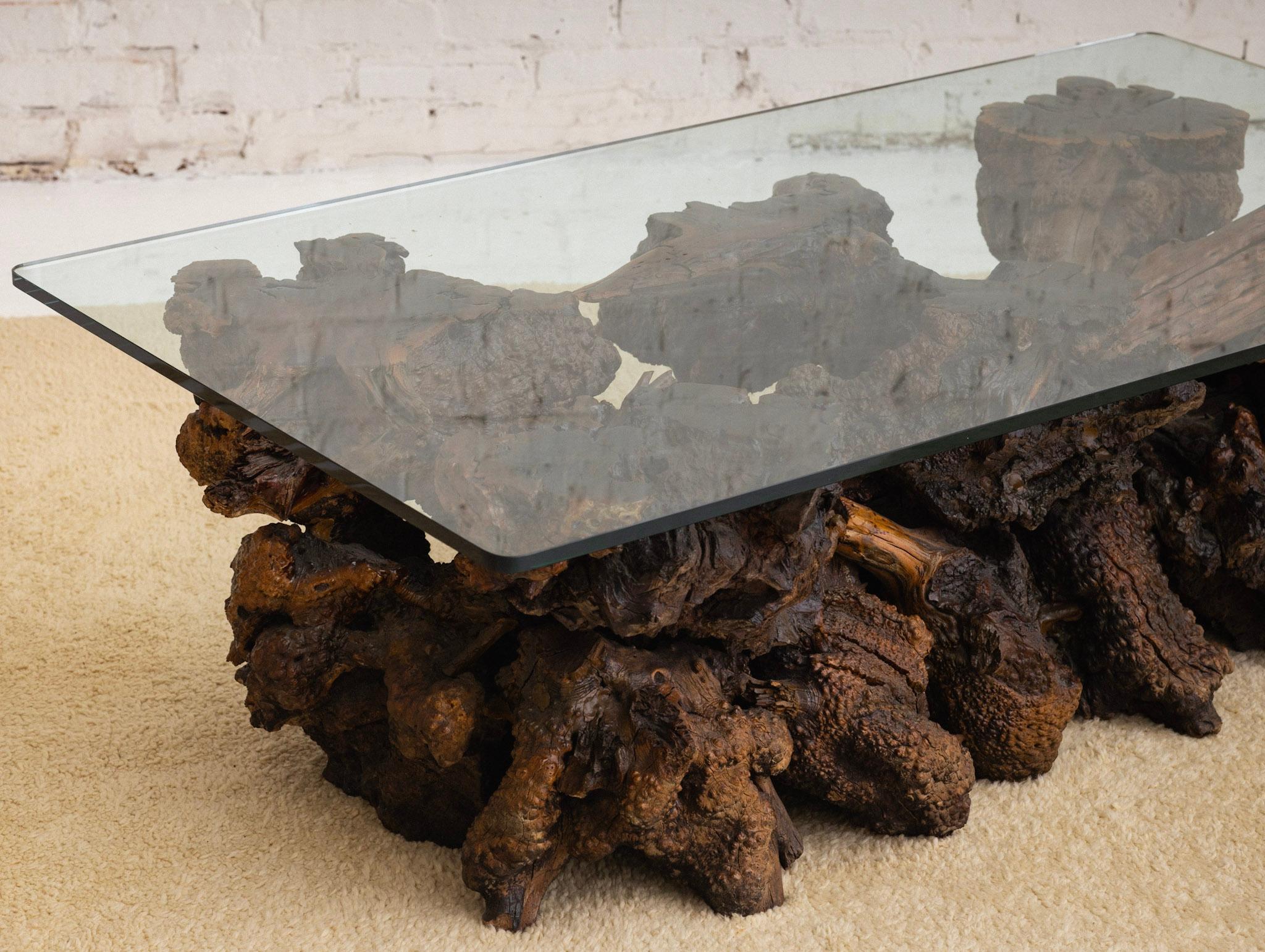 Free Form Live Edge Burl Coffee Table with Glass Top In Good Condition For Sale In Brooklyn, NY
