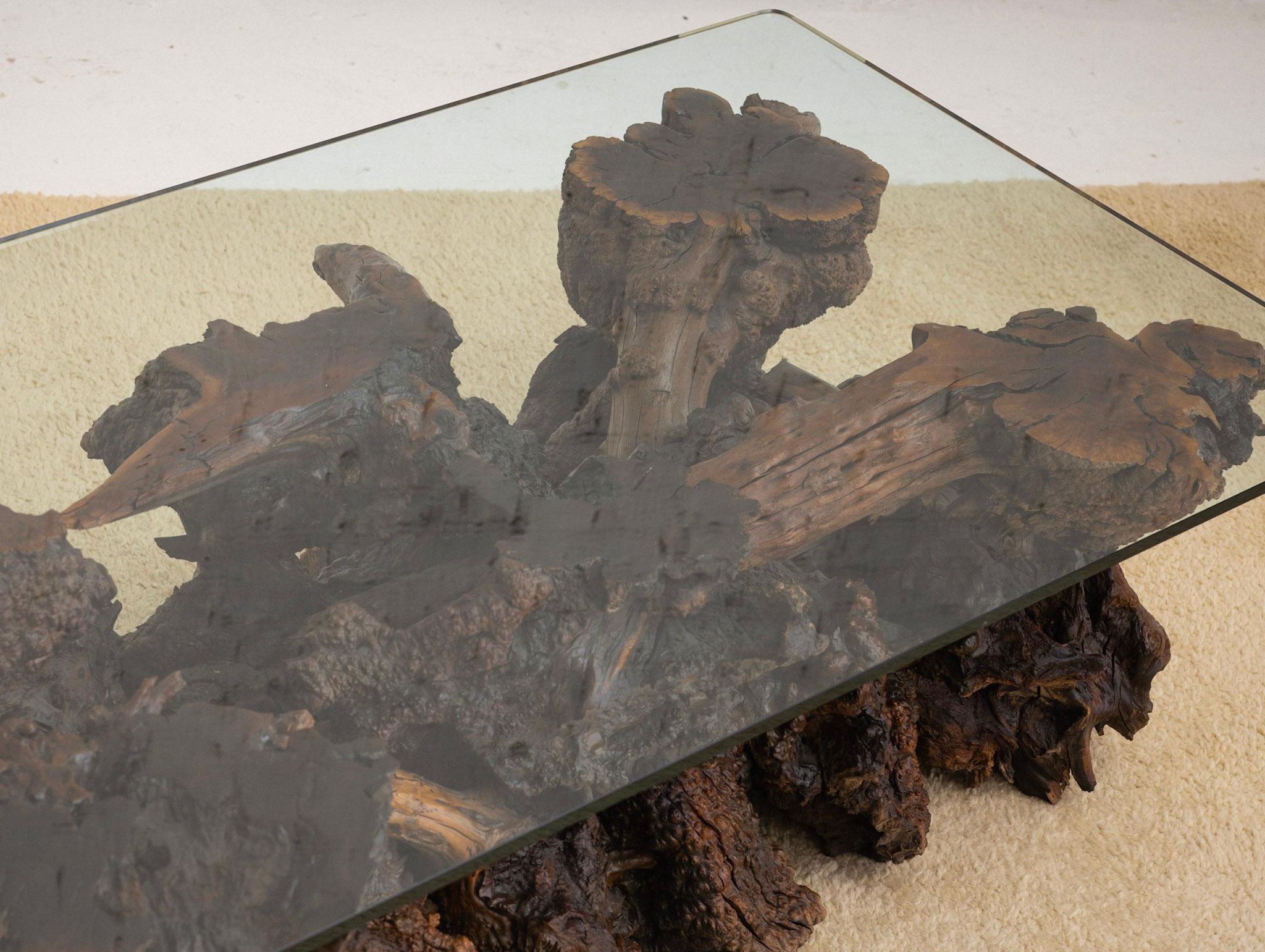 20th Century Free Form Live Edge Burl Coffee Table with Glass Top For Sale