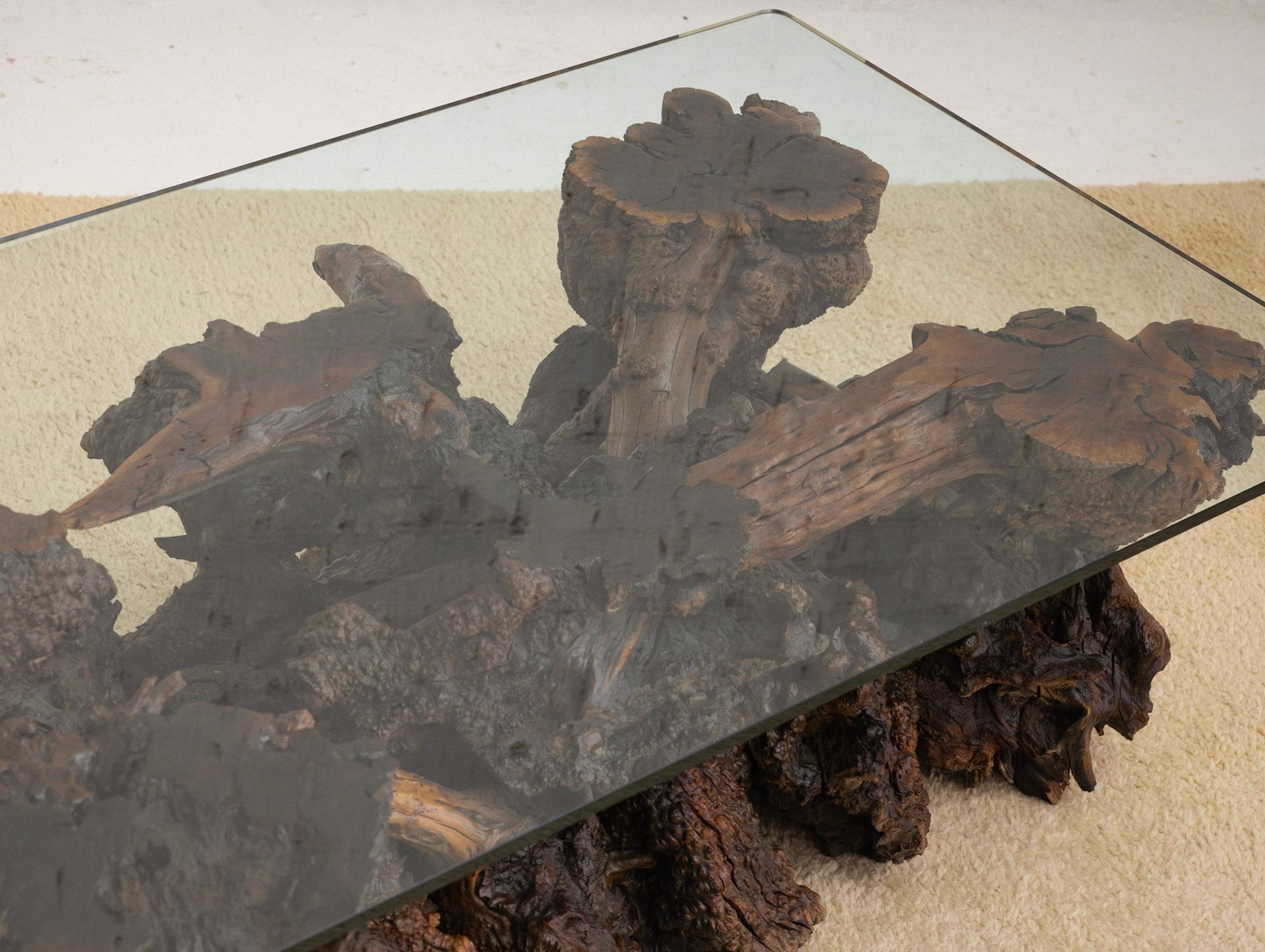 20th Century Free Form Live Edge Burl Coffee Table with Glass Top