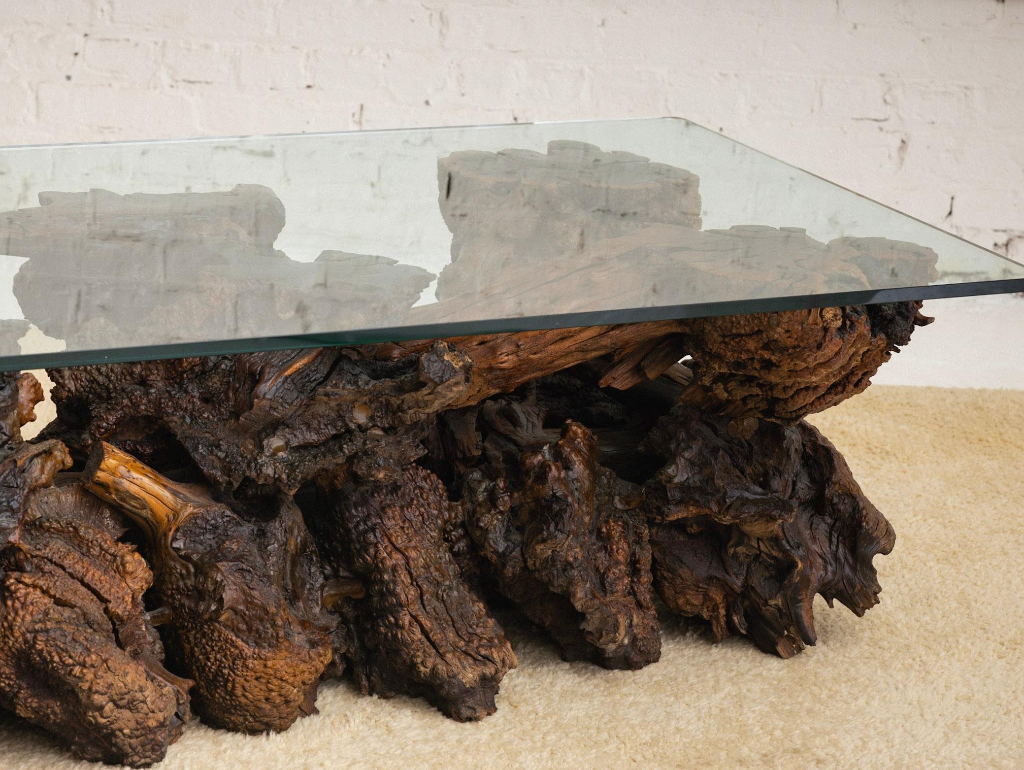 Free Form Live Edge Burl Coffee Table with Glass Top For Sale 4