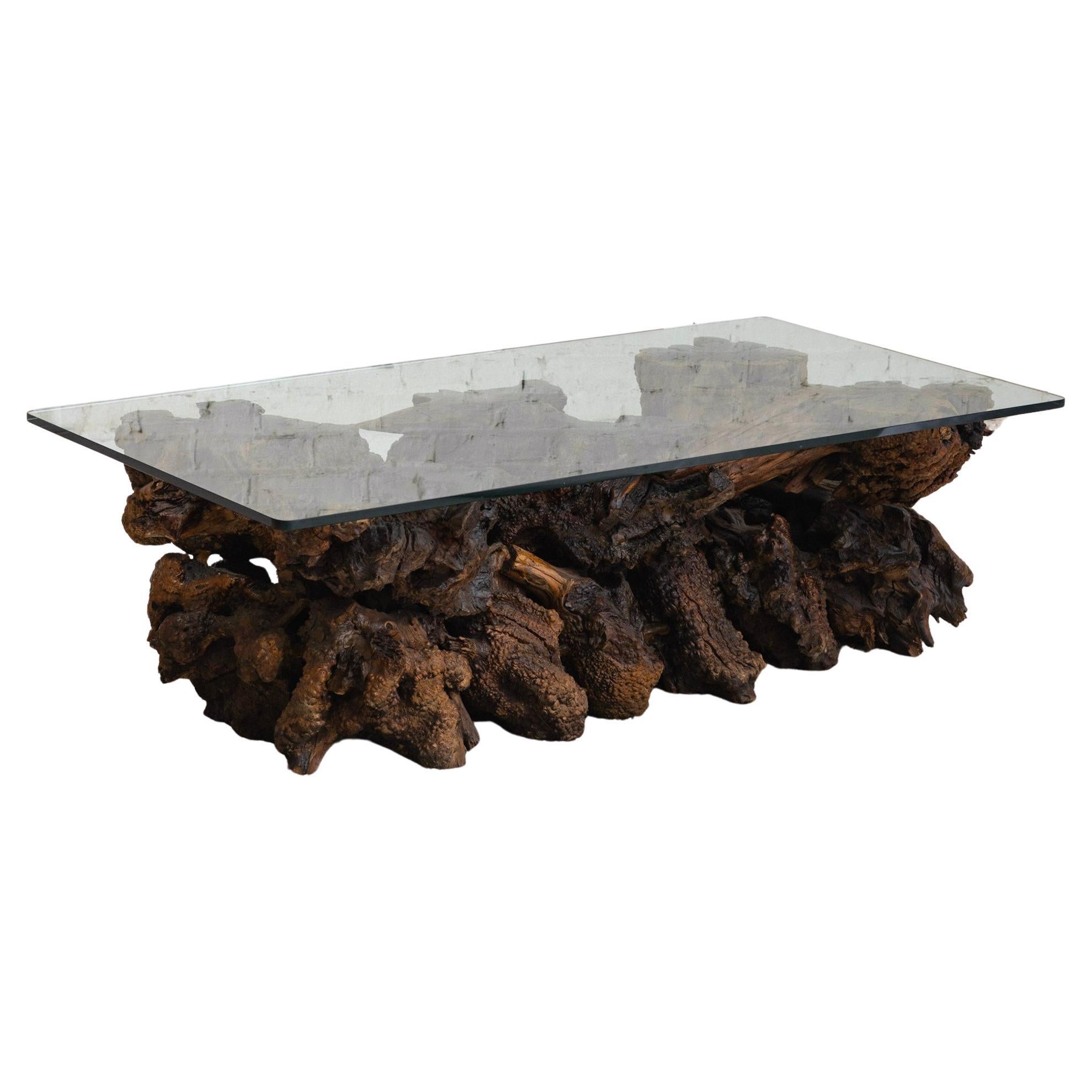 Free Form Live Edge Burl Coffee Table with Glass Top For Sale