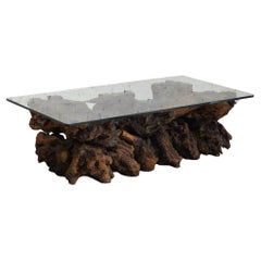 Vintage Free Form Live Edge Burl Coffee Table with Glass Top