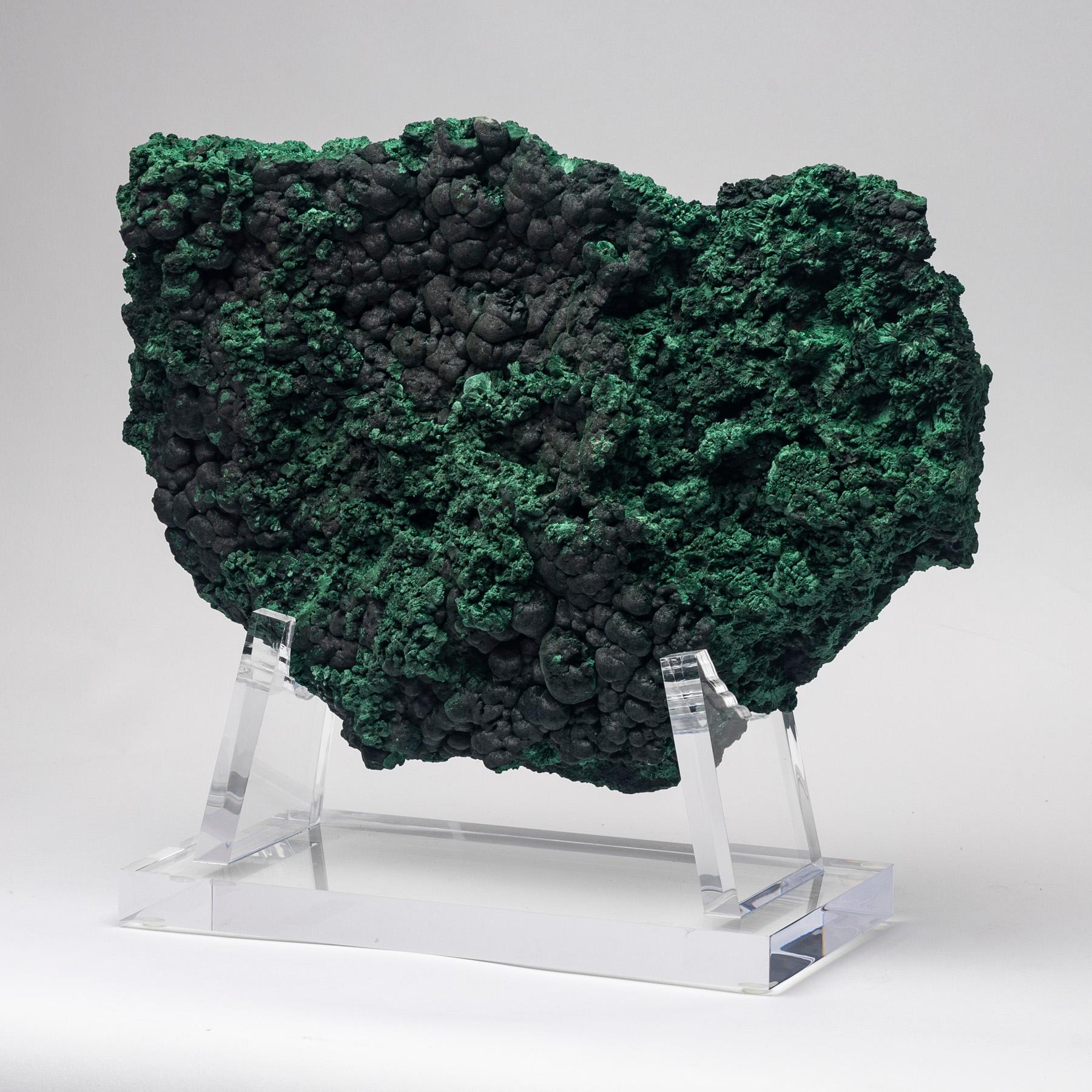 Beautiful Malachite Free Form Specimen from Congo mounted on a custom acrylic stand