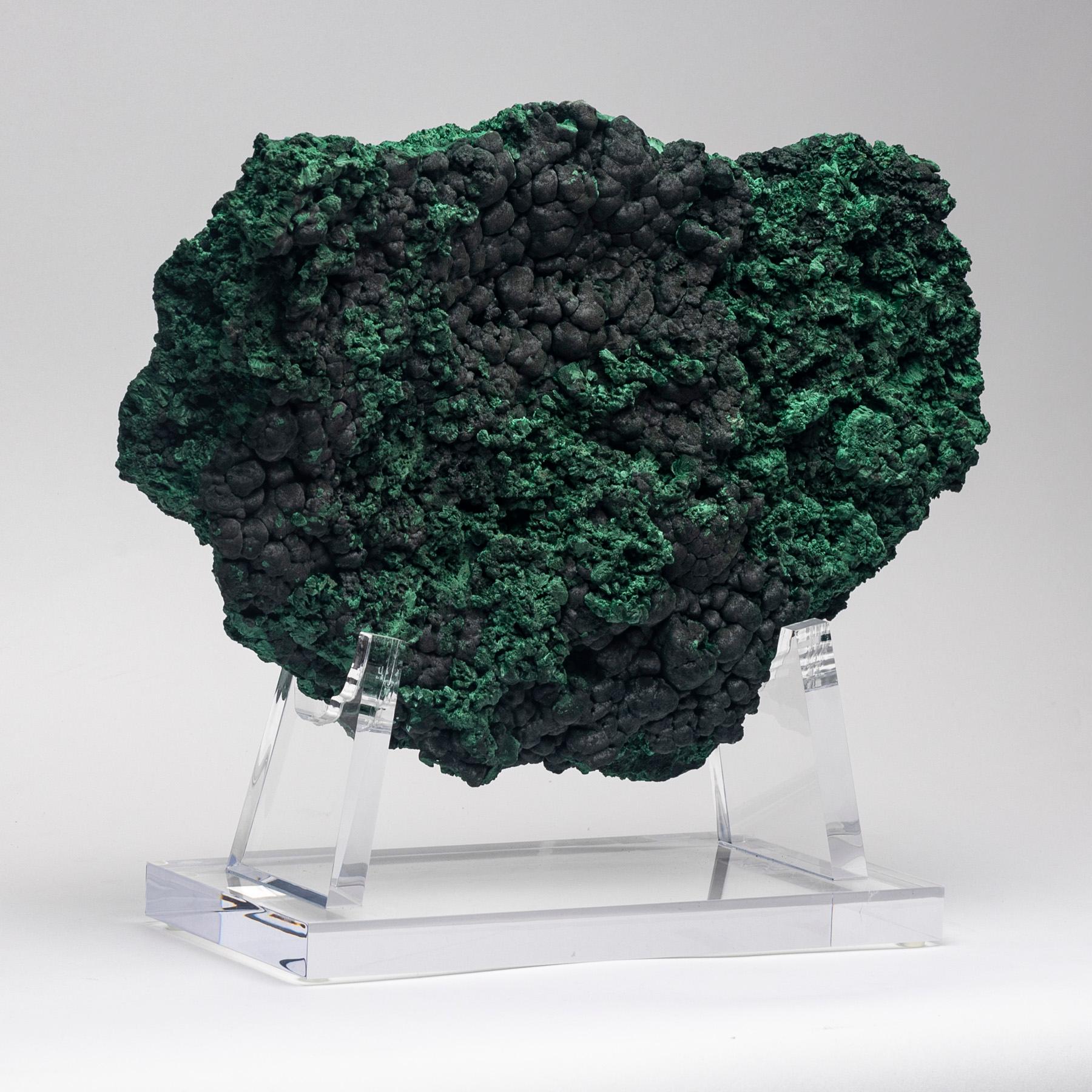 Organic Modern Freeform Malachite Specimen from Congo Mounted on Custom Acrylic Stand For Sale