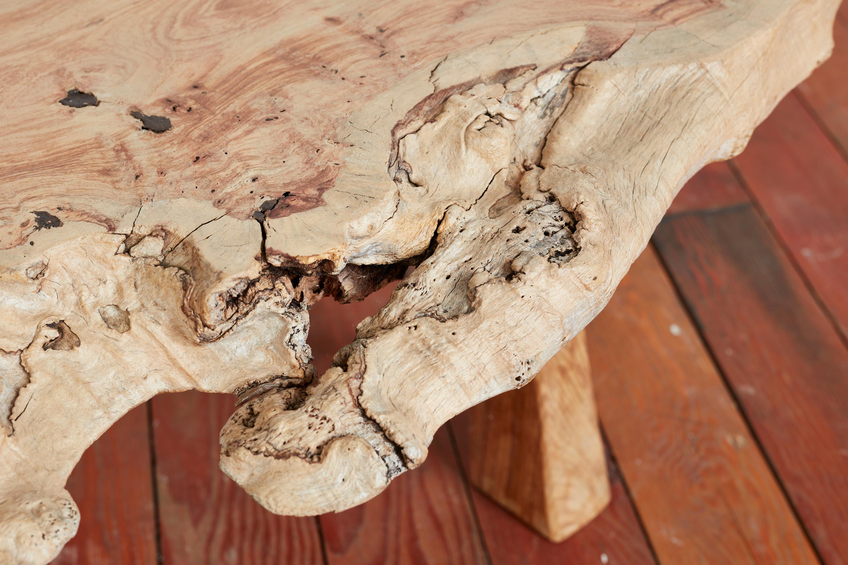 Free Form Olive Wood Coffee Table / Bench In Good Condition For Sale In Beverly Hills, CA