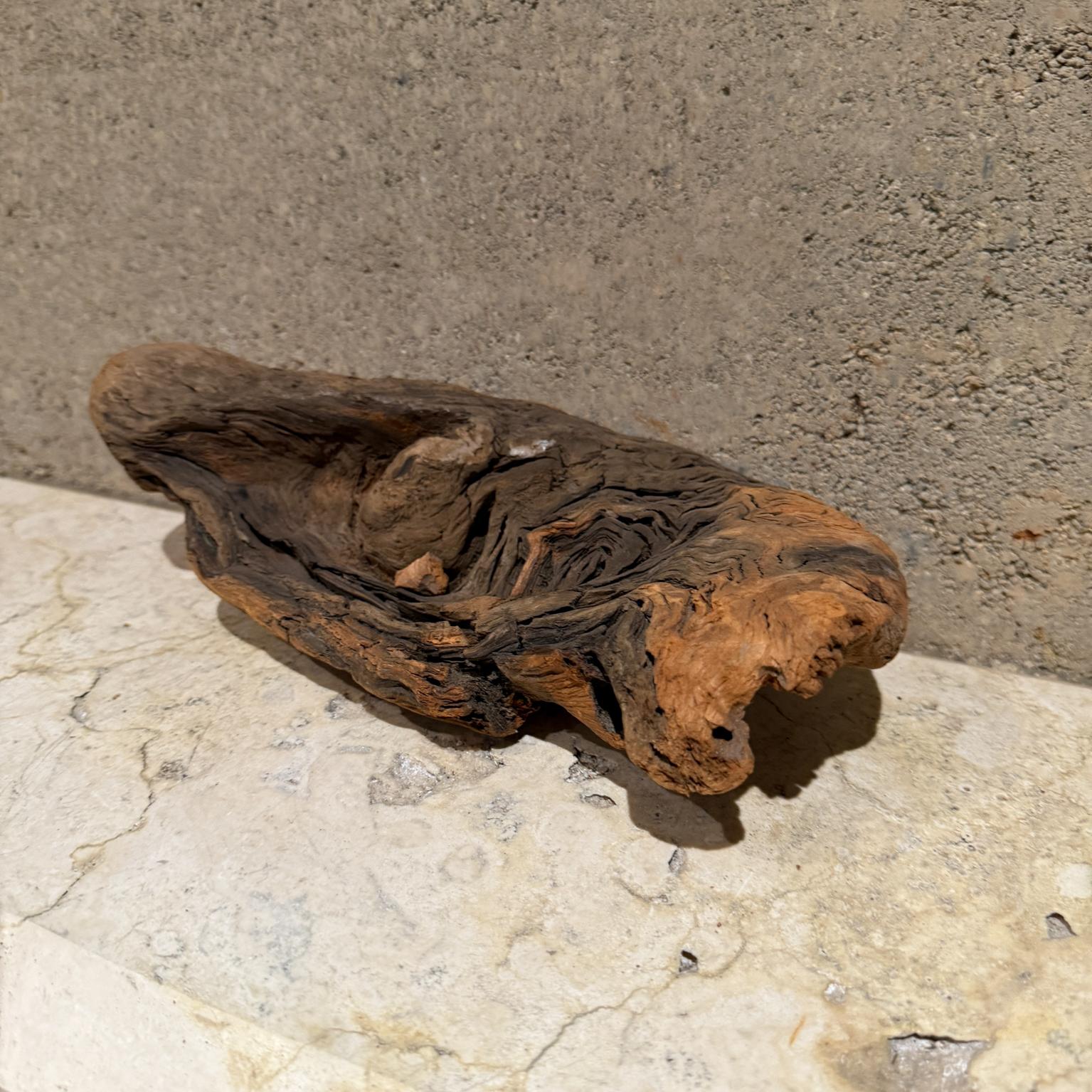 Freiformige organische Wurzelholz-Skulptur aus Holz (Moderne der Mitte des Jahrhunderts) im Angebot