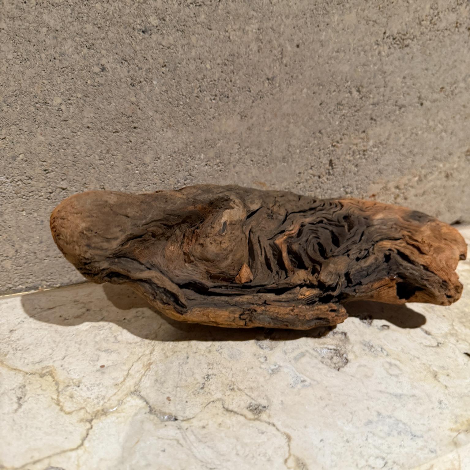 Freiformige organische Wurzelholz-Skulptur aus Holz im Zustand „Gut“ im Angebot in Chula Vista, CA