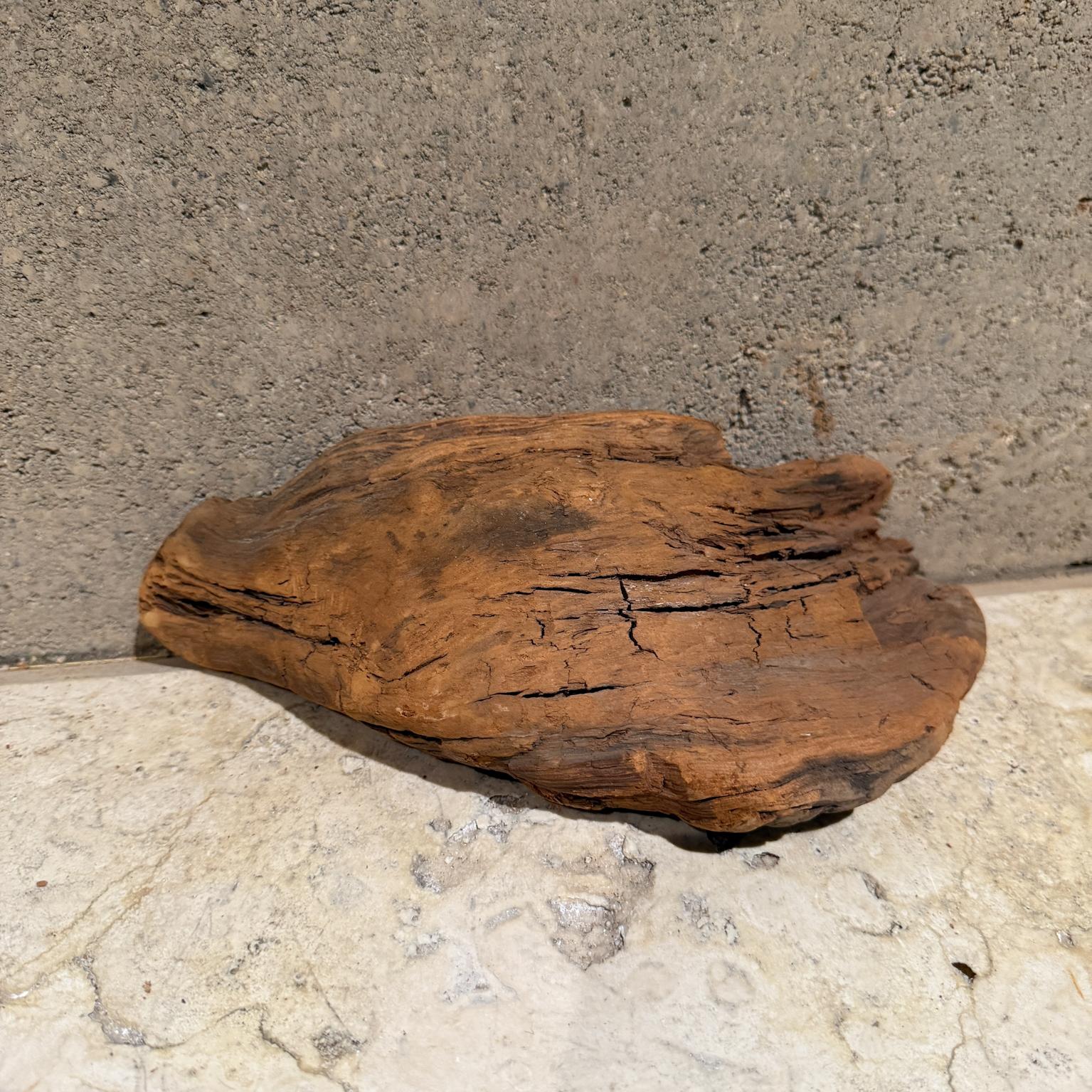 Freiformige organische Wurzelholz-Skulptur aus Holz (20. Jahrhundert) im Angebot