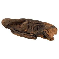 Free Form Organic Wood Root Sculpture