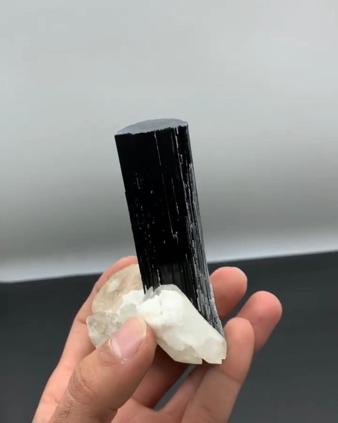 Informationen zum Produkt:

Exemplar Typ: Schörl mit Apatit
Gewicht: 320 Gramm
Abmessungen: H: 10 x B: 8,8 x T: 5,5 cm
Herkunft: Bezirk Skardu, Gilgit Baltistan, Pakistan 
Behandlung: Keine

Beschreibung:

Schwarzer Turmalin wird auch Schörl