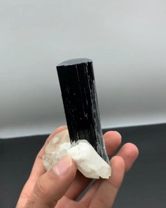 Free Standing Black Tourmaline Crystal On Yellow Apatite From Pakistan