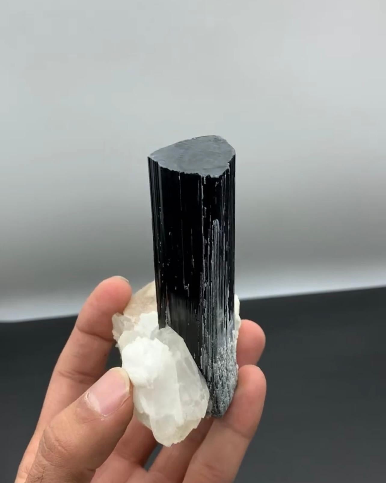 Freistehendes schwarzes Turmalinkristall auf gelbem Apatit aus Pakistan (Adamstil) im Angebot