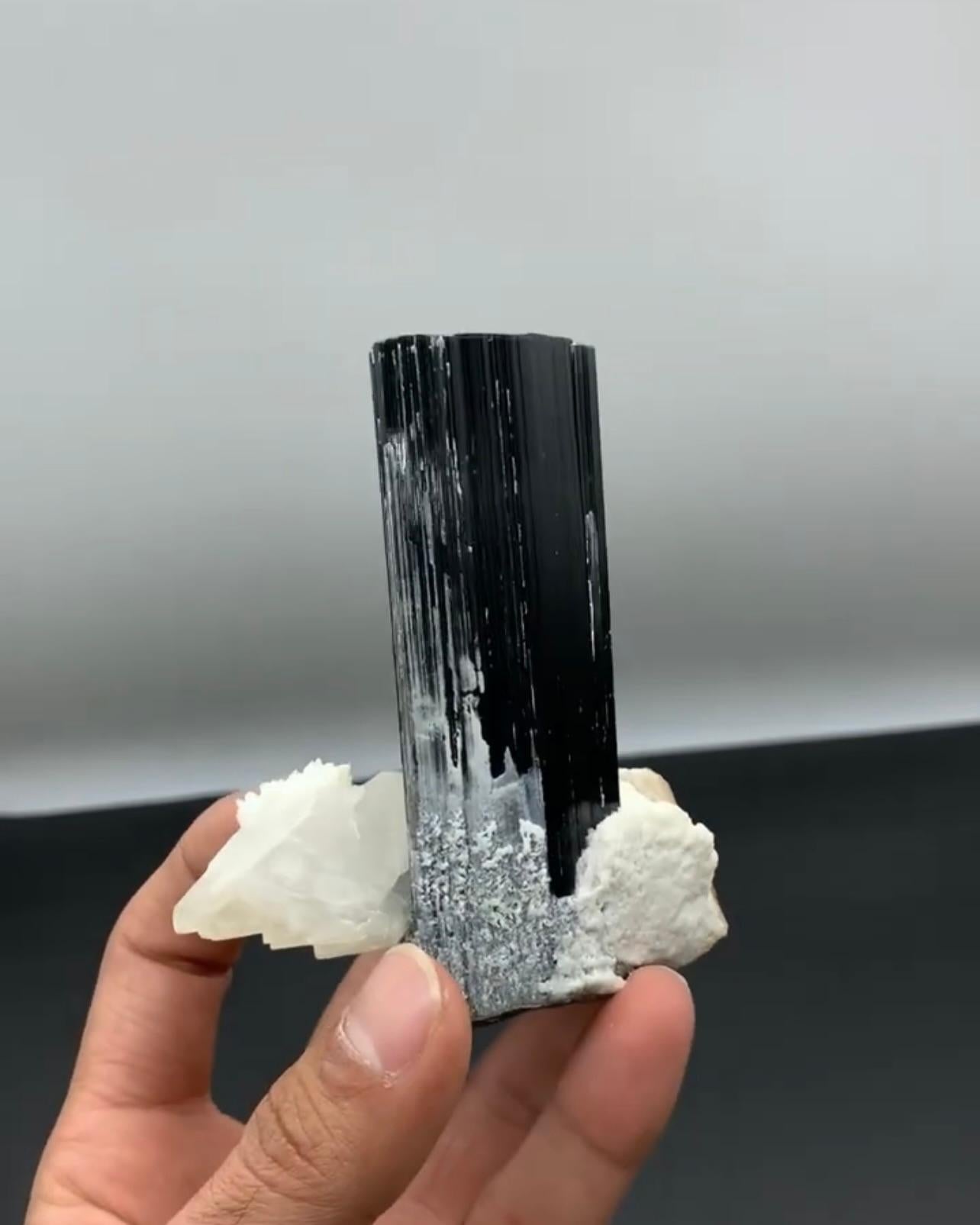 Freistehendes schwarzes Turmalinkristall auf gelbem Apatit aus Pakistan (Pakistanisch) im Angebot