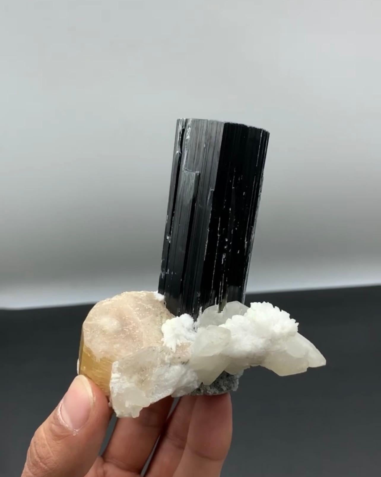 Freistehendes schwarzes Turmalinkristall auf gelbem Apatit aus Pakistan im Angebot 2