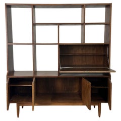 Free standing wall unit/ bookcase
