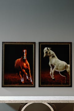 Freedom Wall Art, Swarovski Crystals, Handmade in Portugal by Lusitanus Home