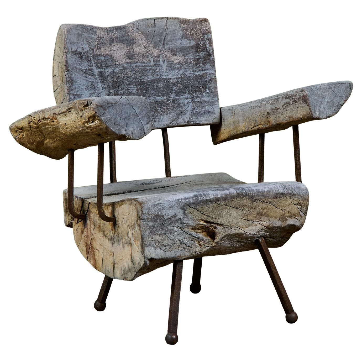 Freeform Lounge Chair by Sabena of Mexico