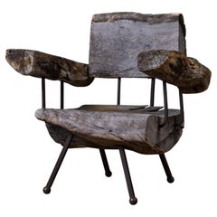 Mid-Century Modern Freeform Wood Lounge Chair by Sabena, Iron Frame