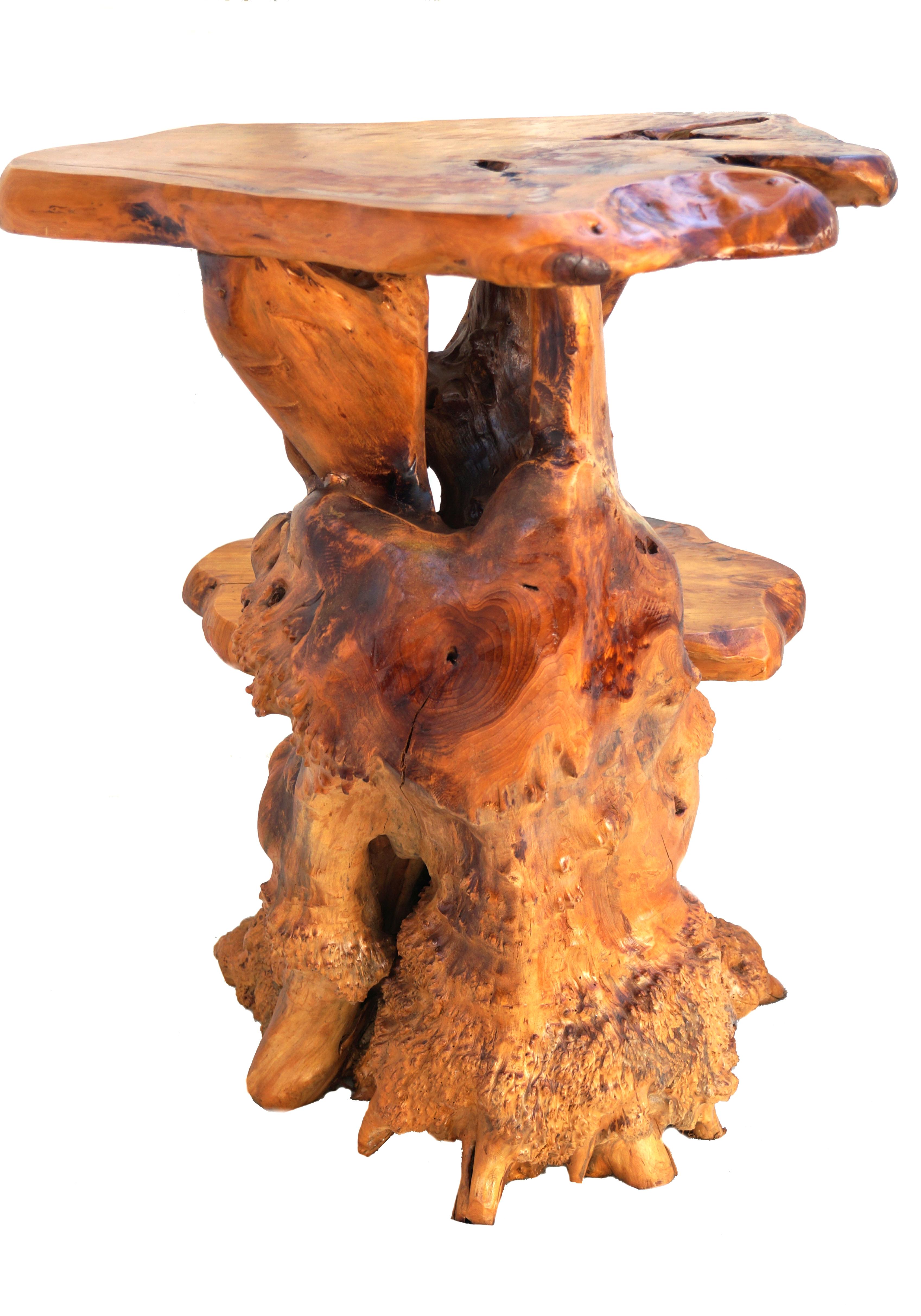 Freeform Sculptural Organic Natural Tree Root Wood Pedestal Plant Stand Table For Sale 4