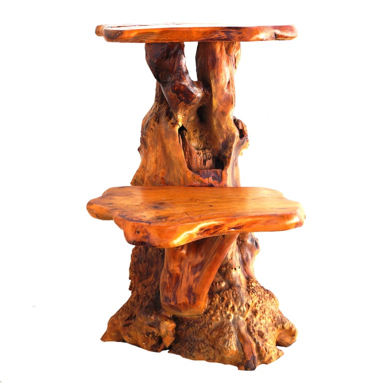 Large, heavy free form sculptural organic natural tree root wood pedestal, plant stand or tall side table. Two tier ( tiered ).